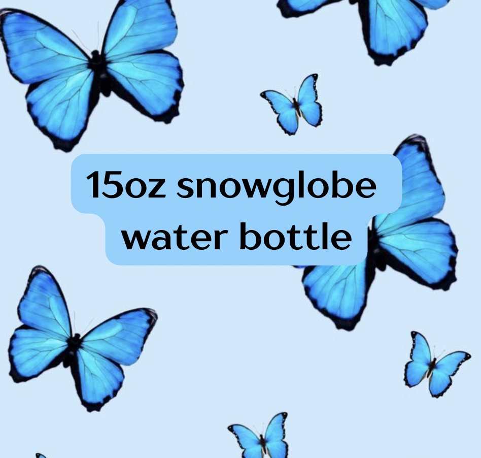 15oz snowglobe water bottle