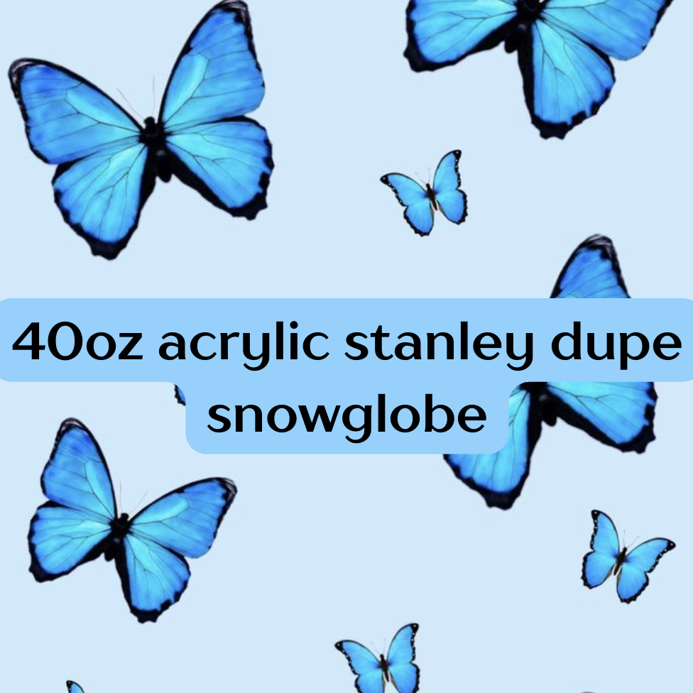 40oz acrylic stanley dupe snowglobe
