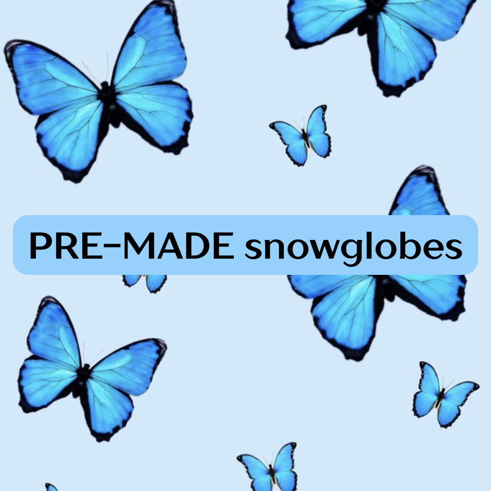 Pre made snowglobe