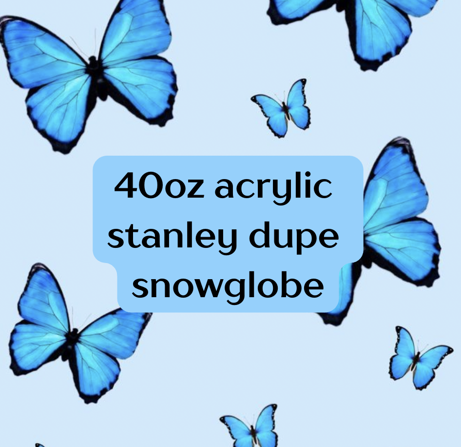 40oz acrylic stanley dupe snowglobe