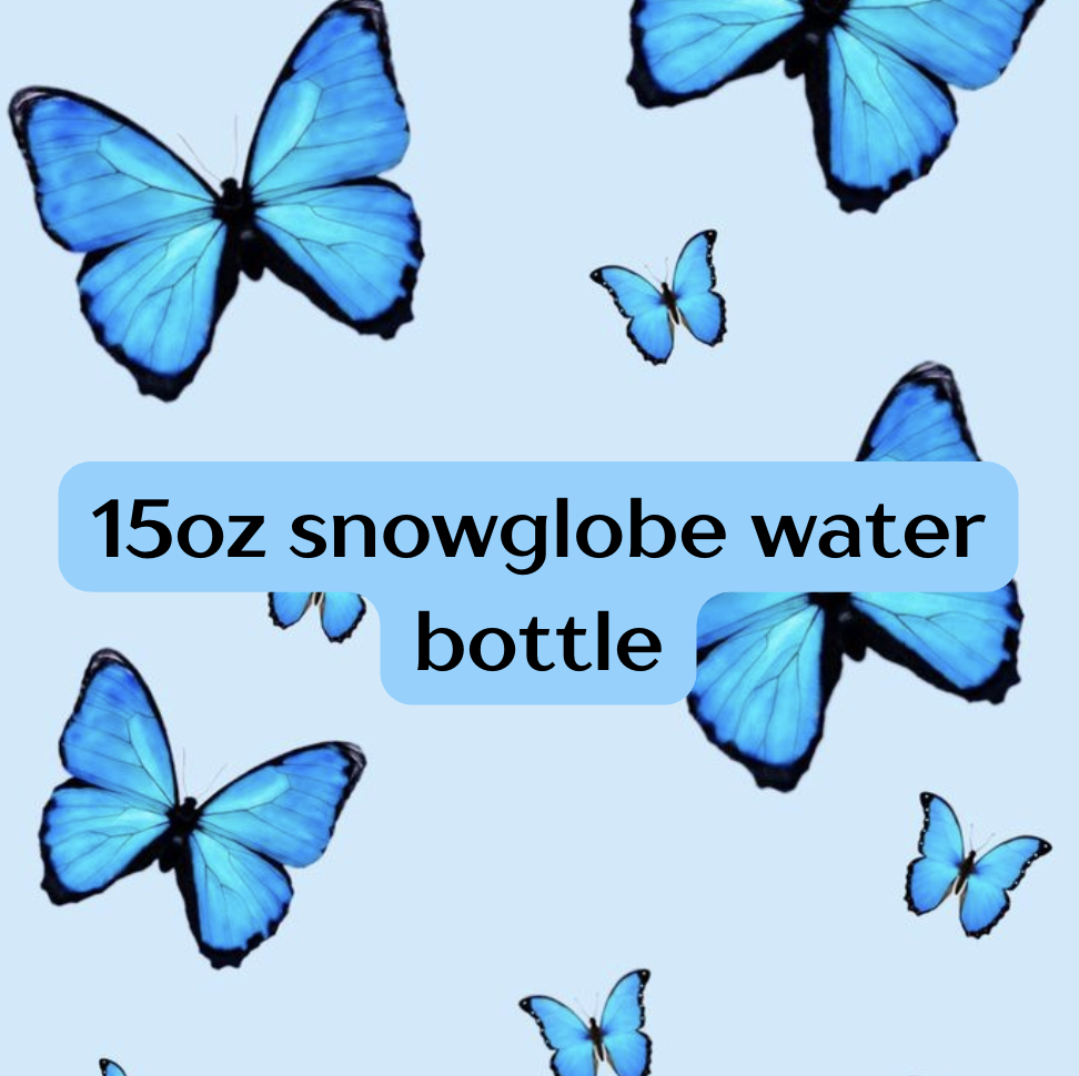 15oz snowglobe water bottle