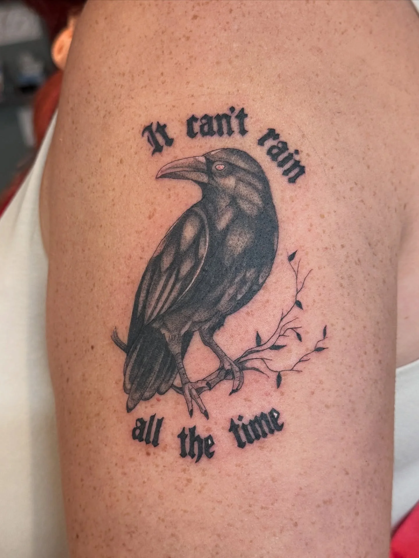 can you tell i&rsquo;m ready for spooky season? 🐦&zwj;⬛🎃
these are from the last couple weeks, thank you guys!
-
-
-
#tattoos #tattooartist #birdtattoo #portlandtattoo #portlandtattooartist #tattoo #art #oregontattoo