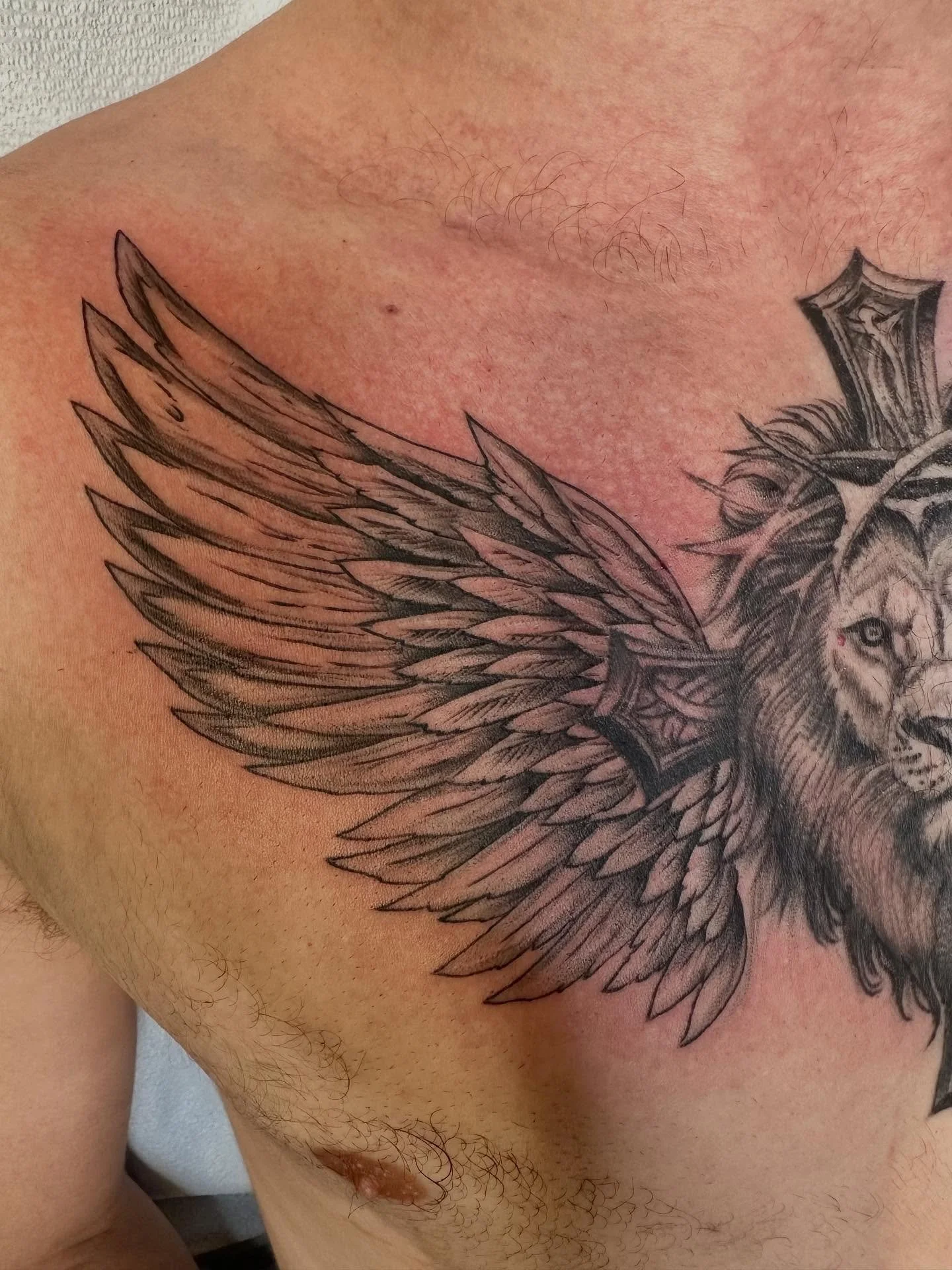 The Lions wings