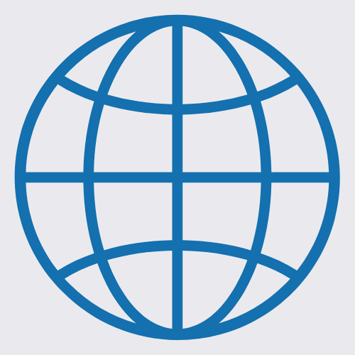 Blue globe icon with grid lines representing the earth.
