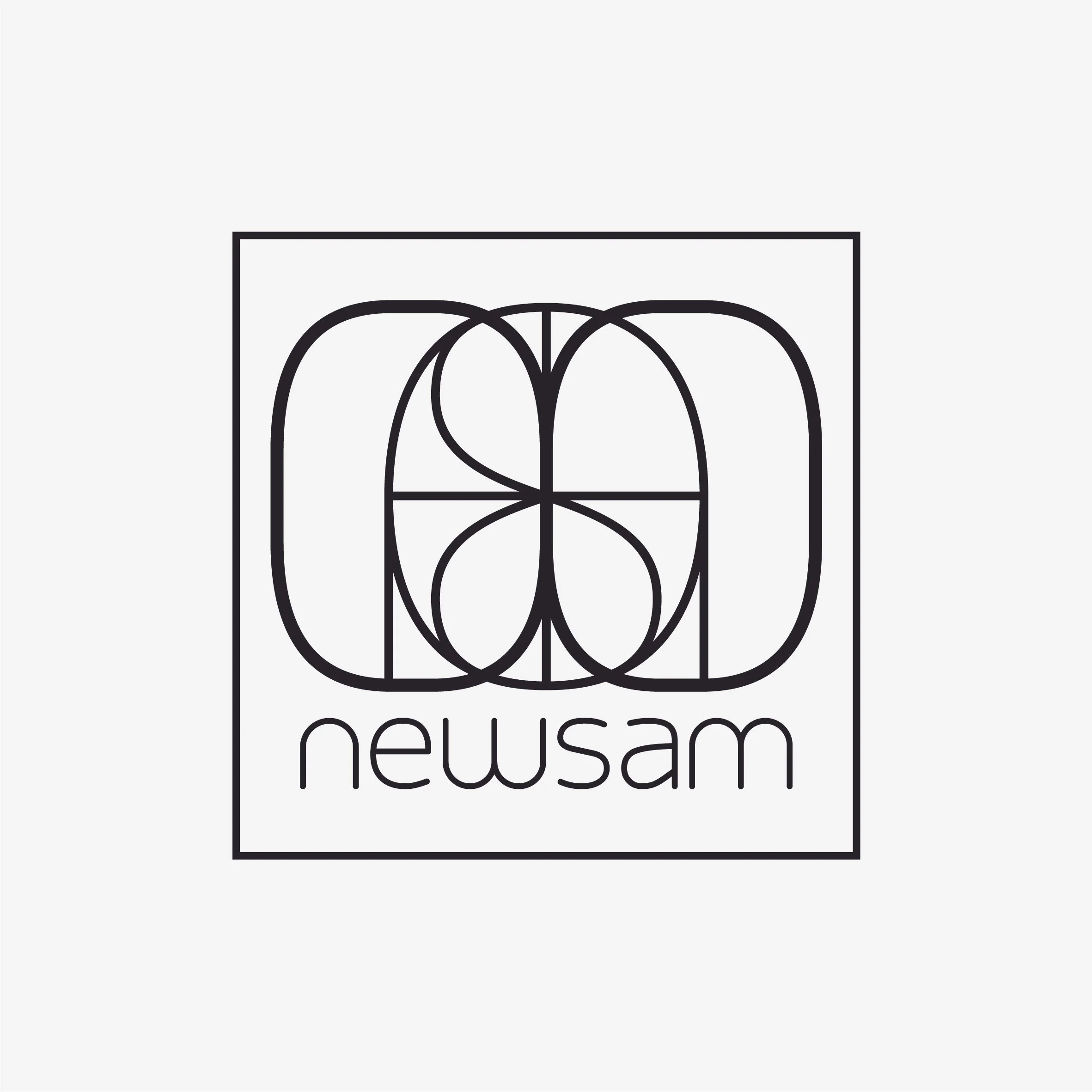 NEWSAM LOGO : 2013
