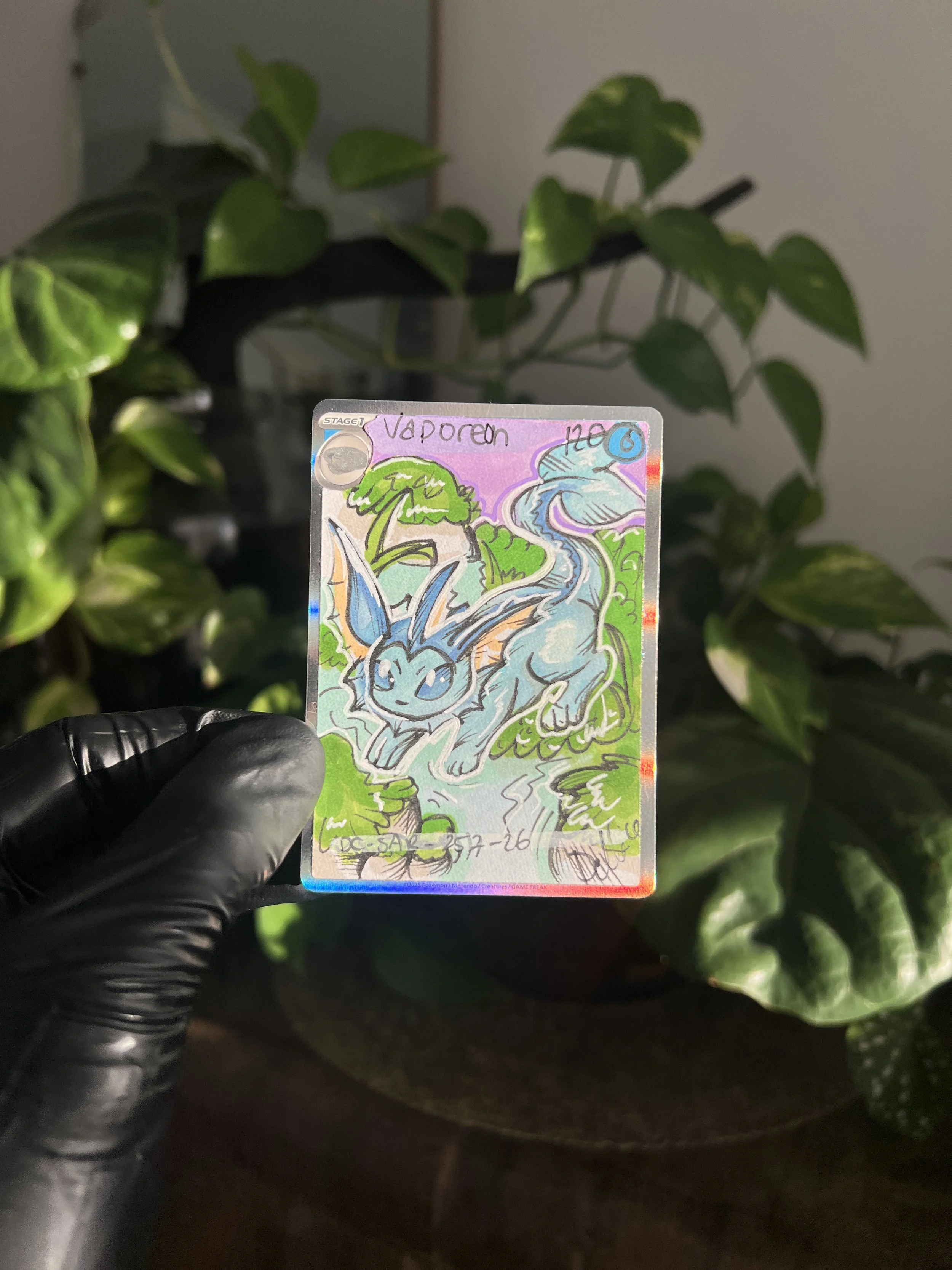IMG_0346.jpeg