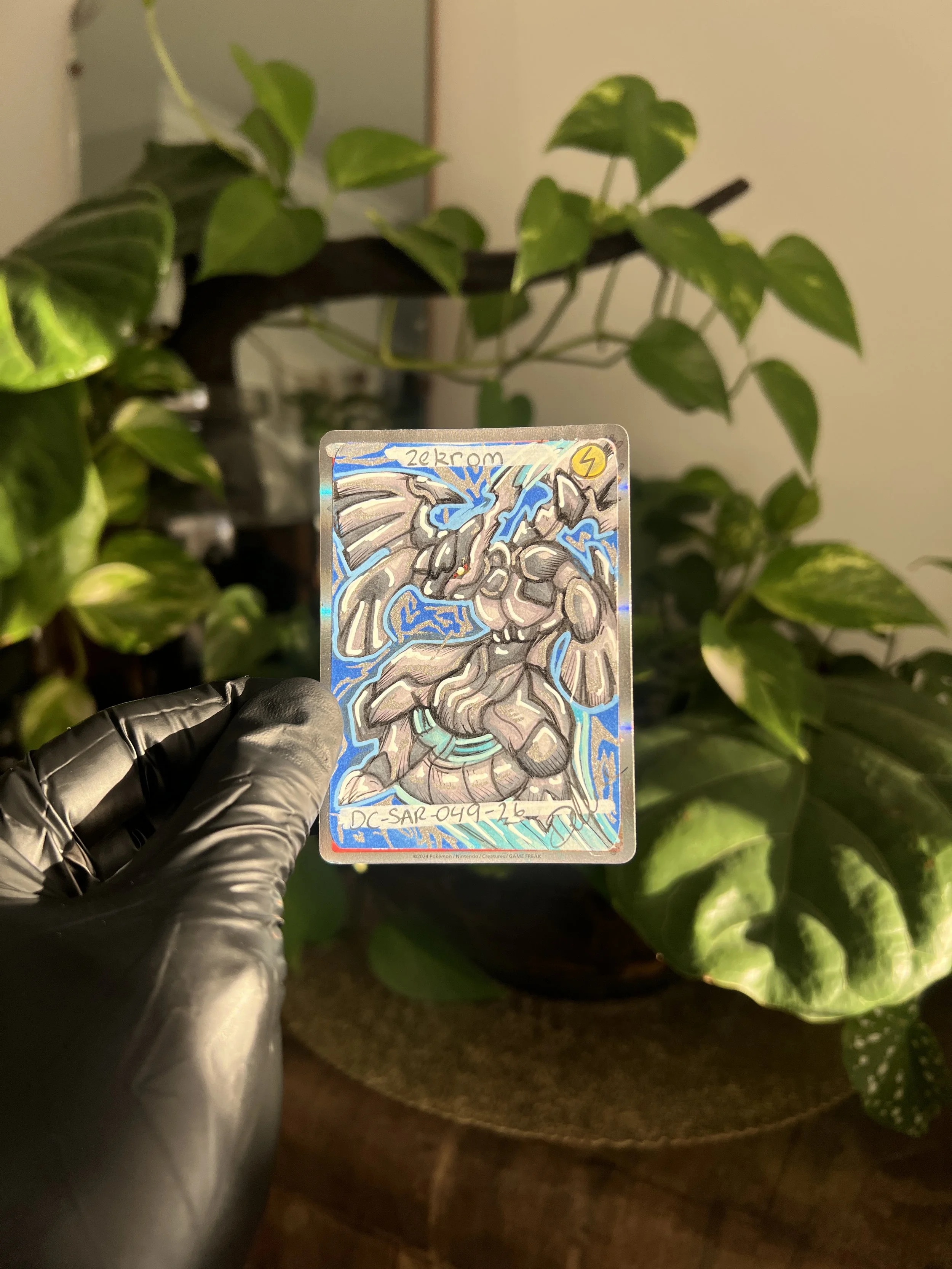 IMG_0378.jpeg
