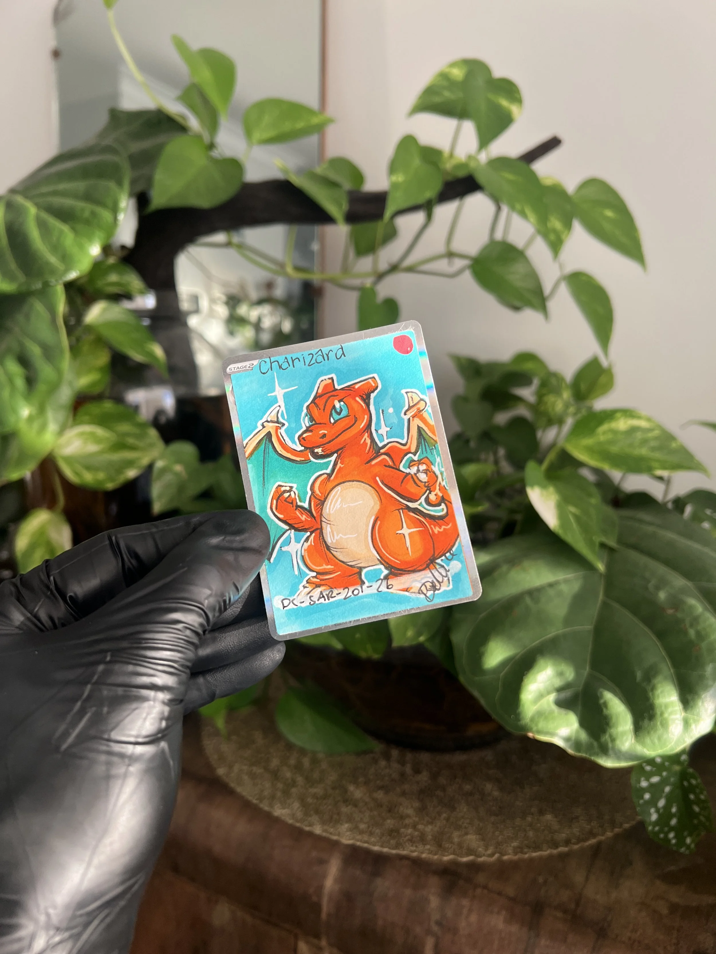 IMG_0458.jpeg