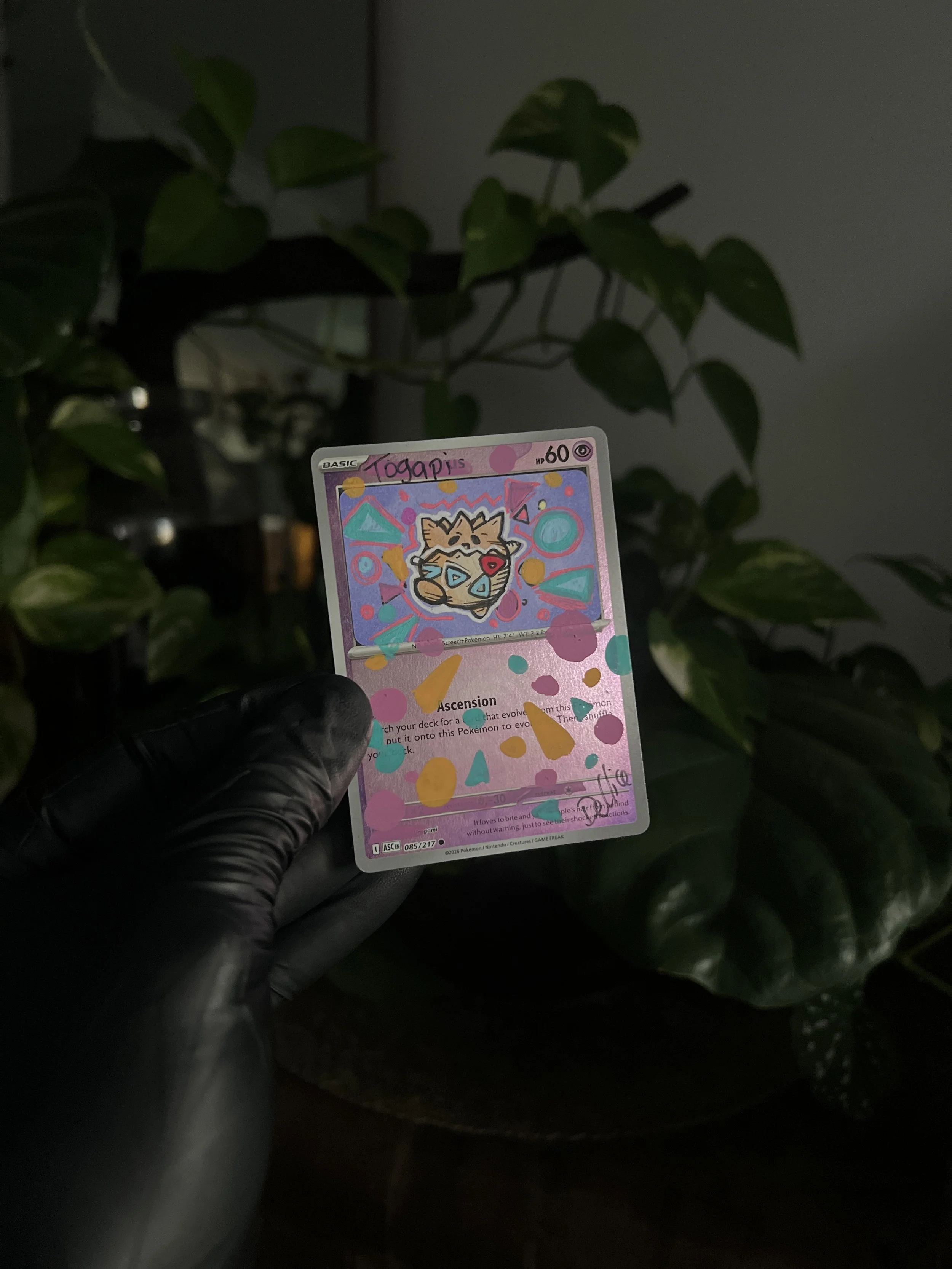 IMG_0945.jpeg