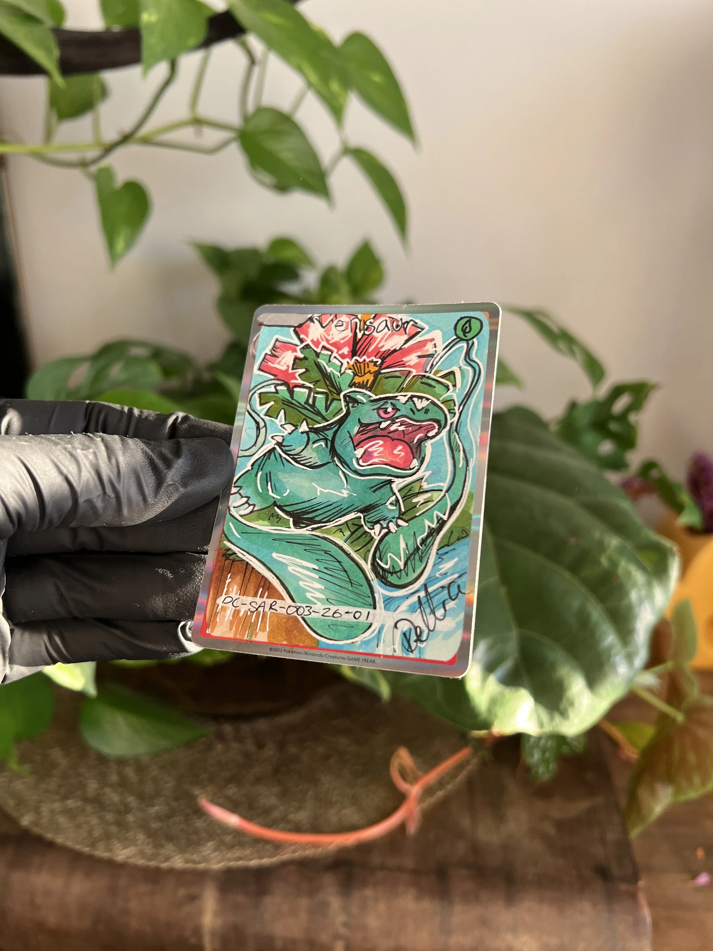 IMG_0300.jpeg