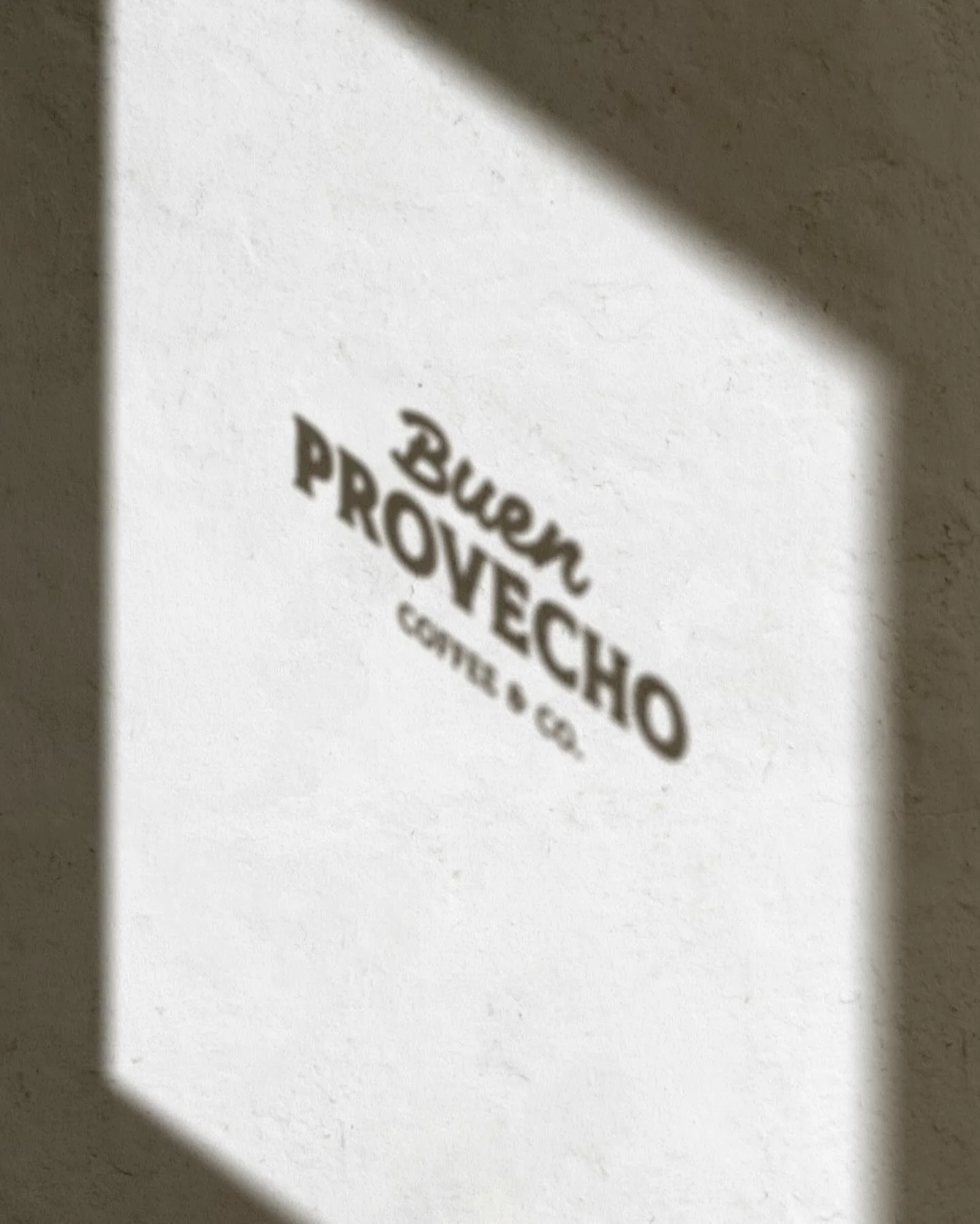 New dreams are brewing 🤍