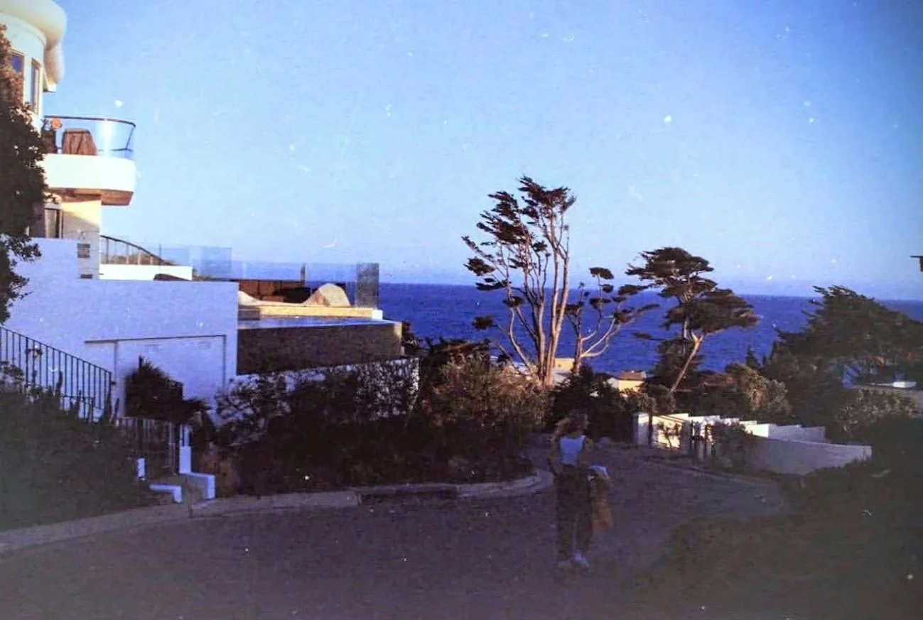 A seaside residential area with modern white houses, trees, and a view of the ocean in the background, taken during twilight.