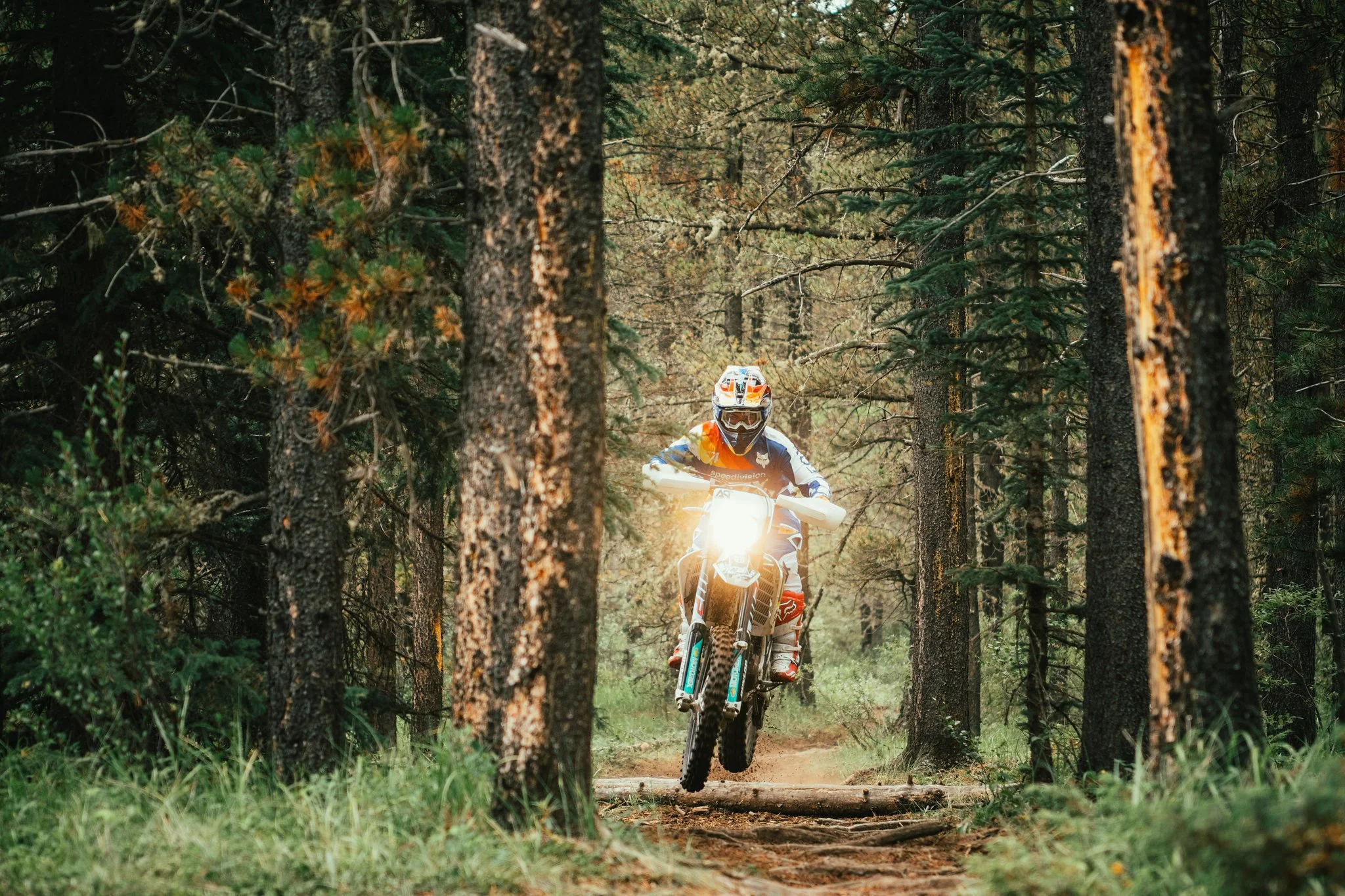 A person riding a dirt bike through a forest trail surrounded by tall trees and greenery.