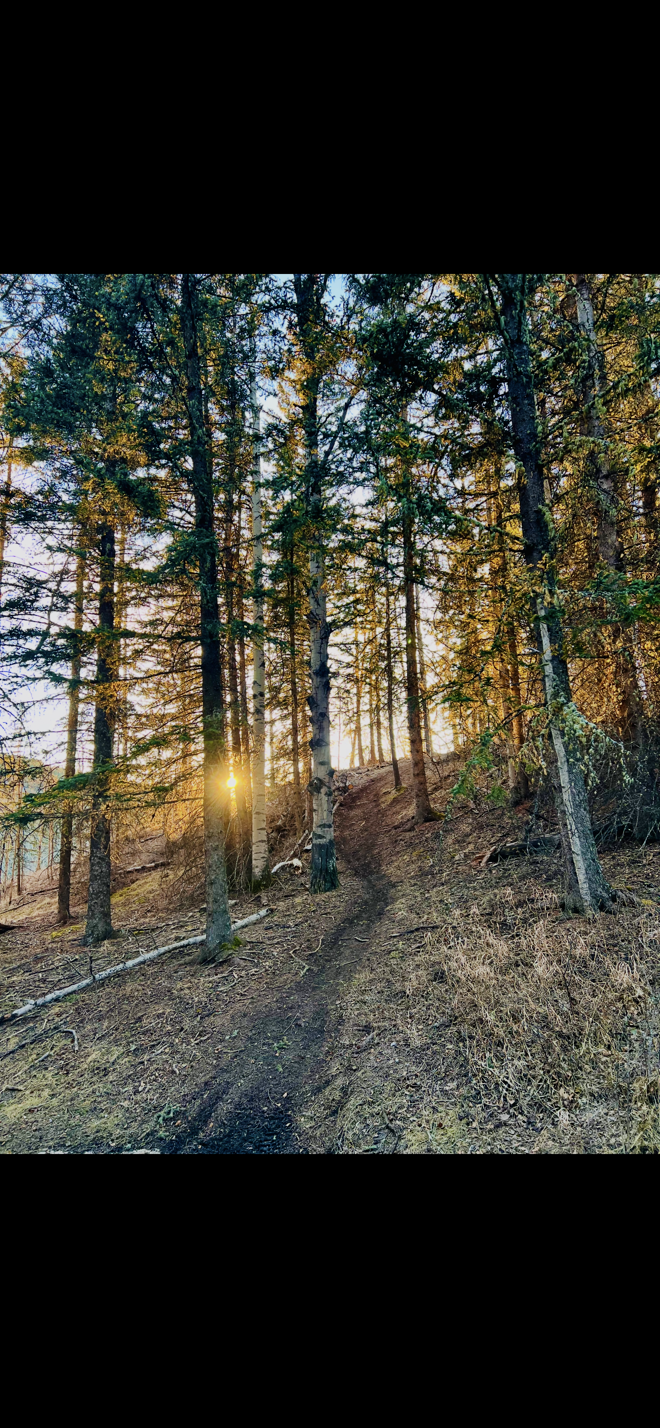 Photo Feb 28 2026, 10 41 55 PM.png