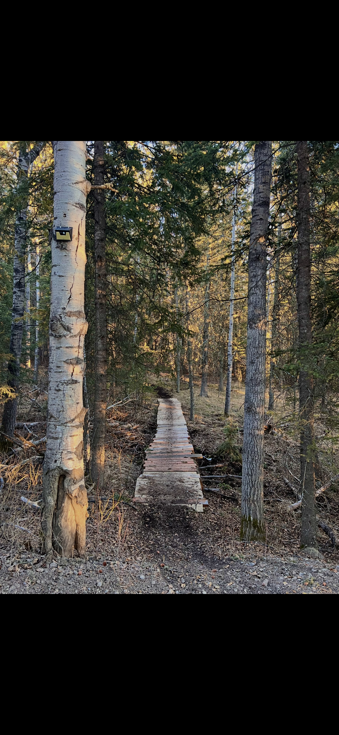 Photo Feb 28 2026, 10 41 53 PM.png