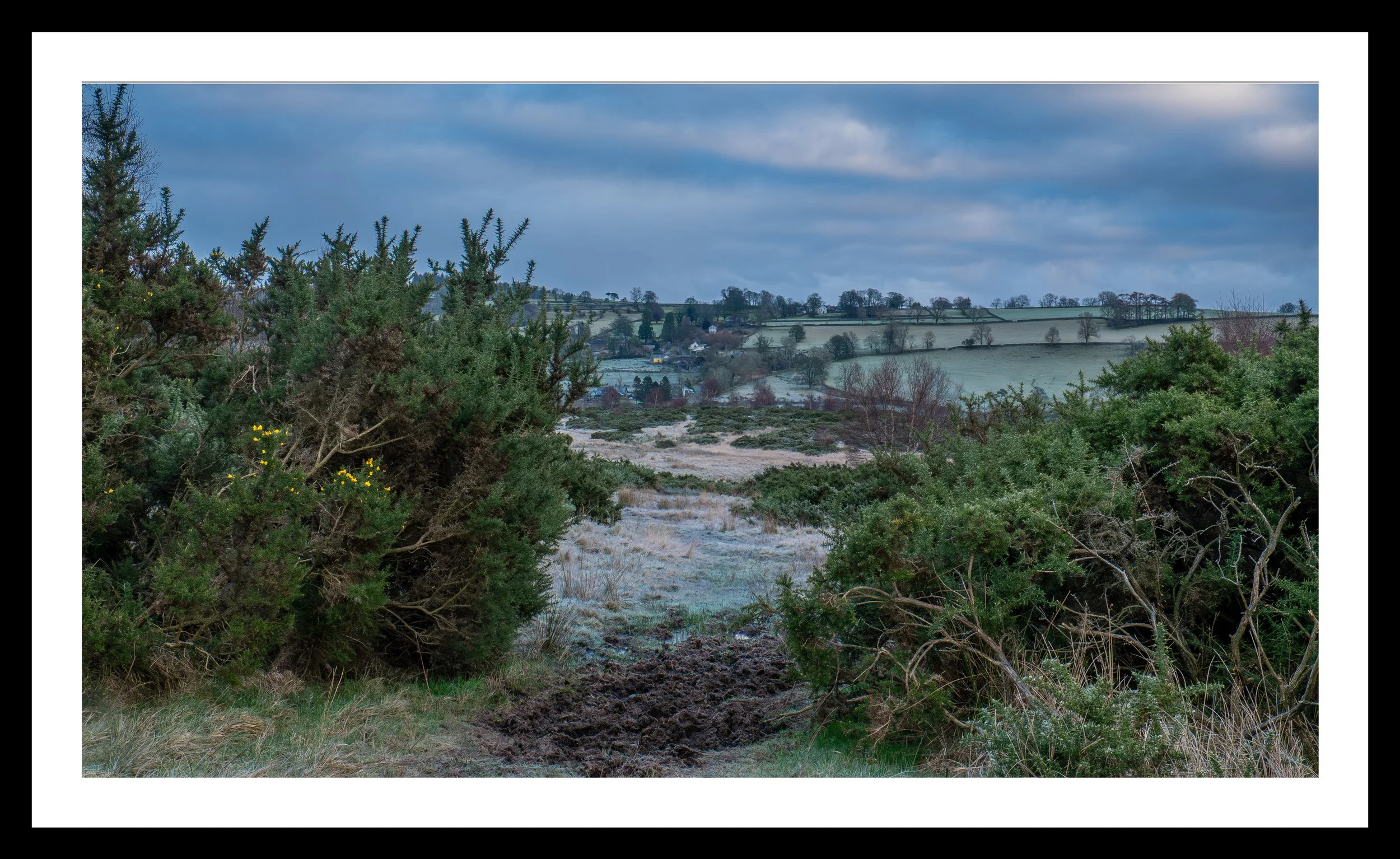 A3 Print | Order Code A31310394