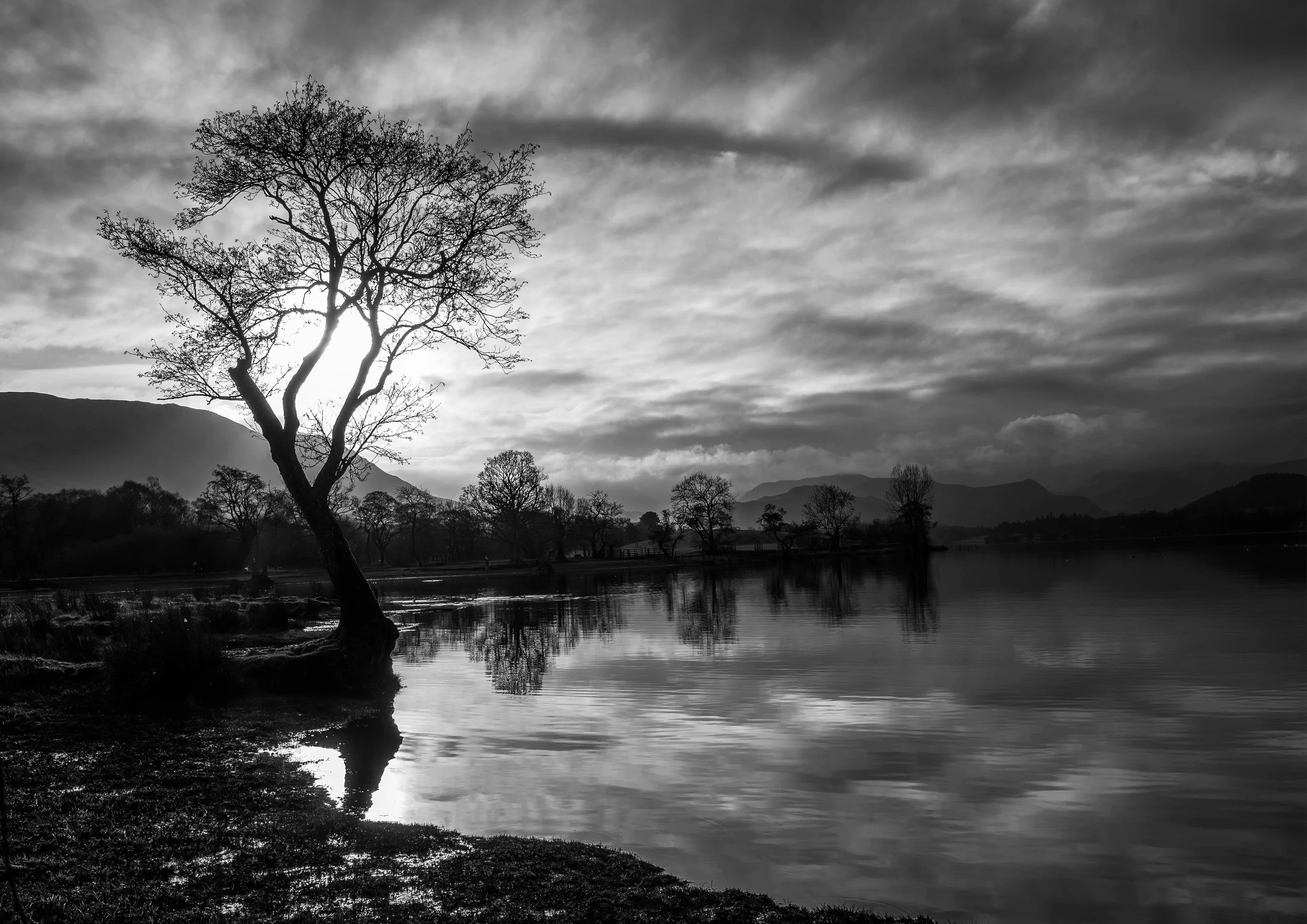 A3 Print | Order Code A31310445 B&W