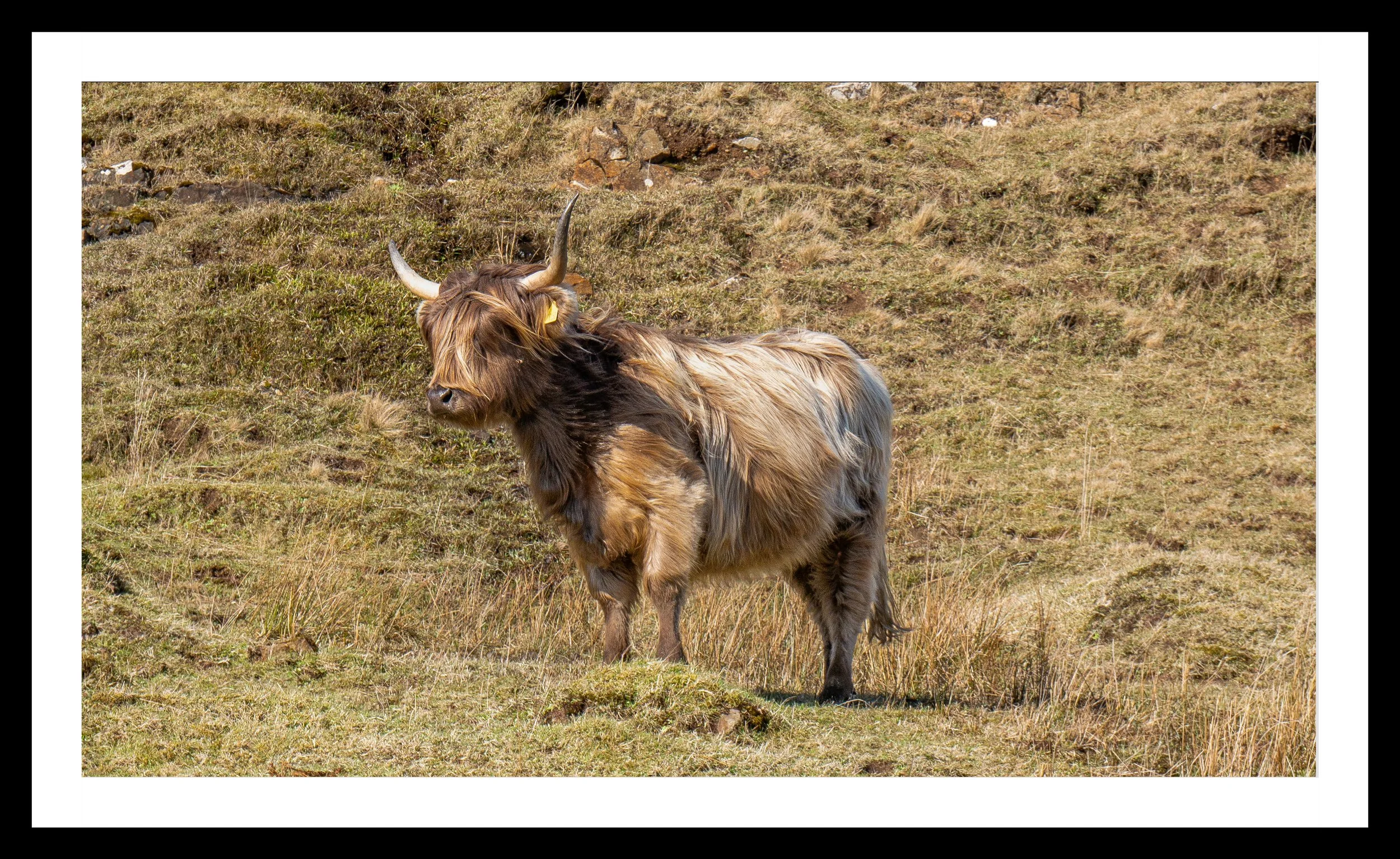 A3 Print | Order Code A31220325