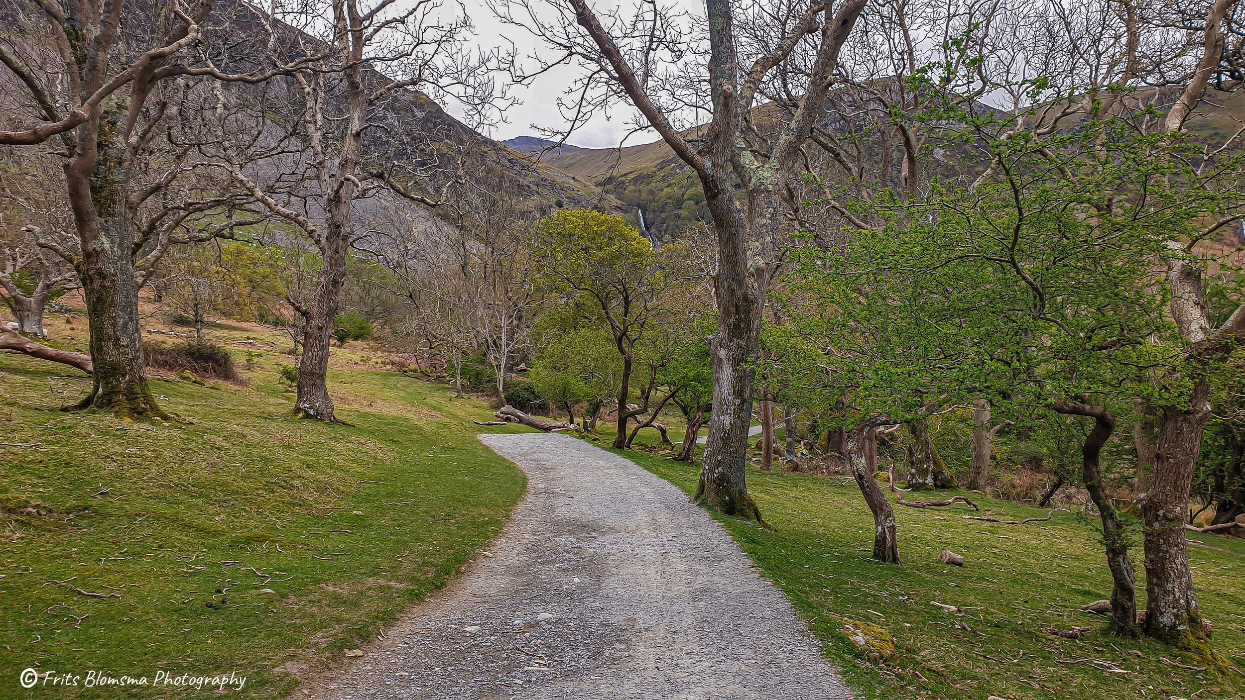 A3 Print | Order Code A3_wales_20240425_143106e_fb