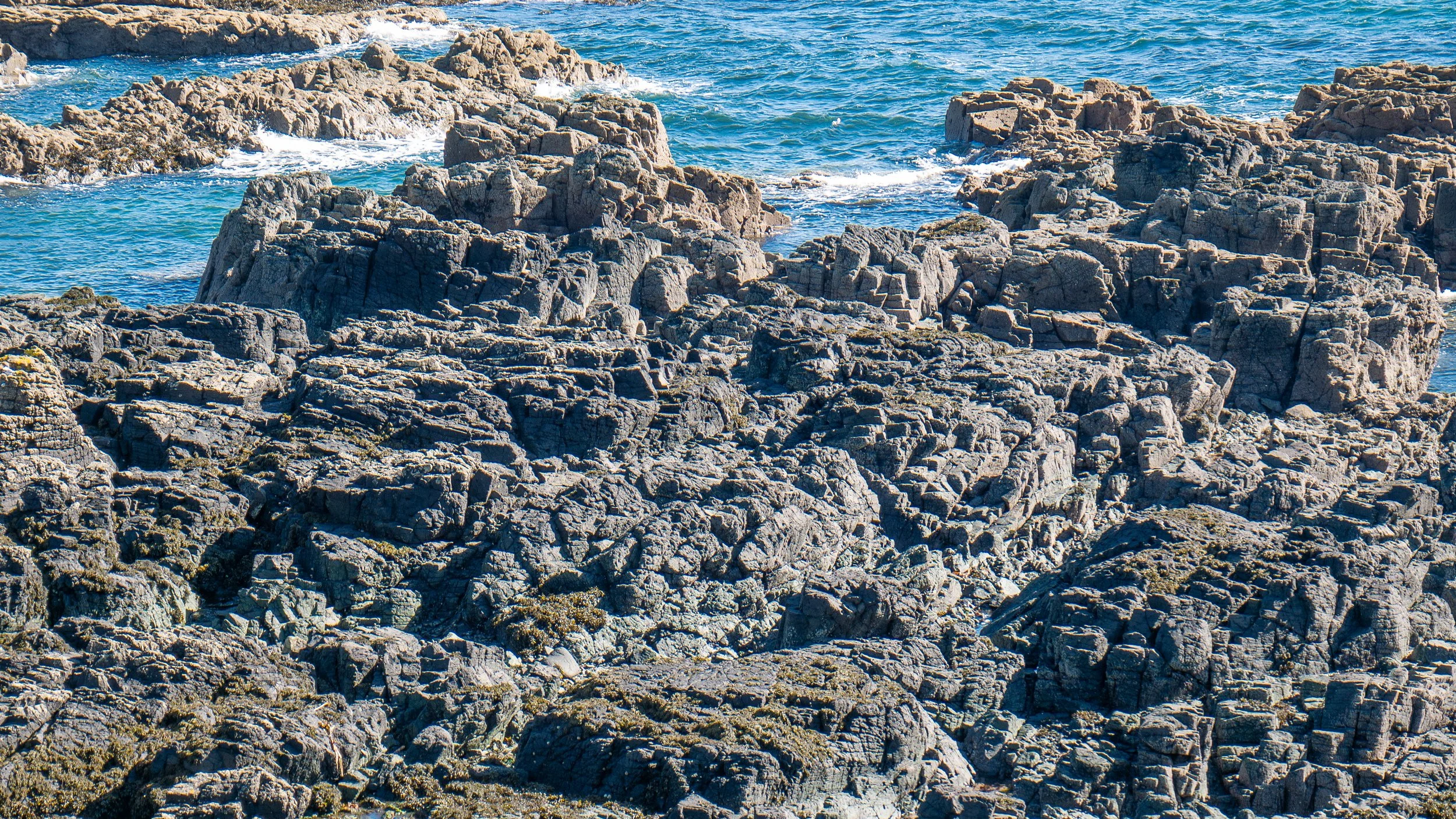 20250318-_1220313.jpg