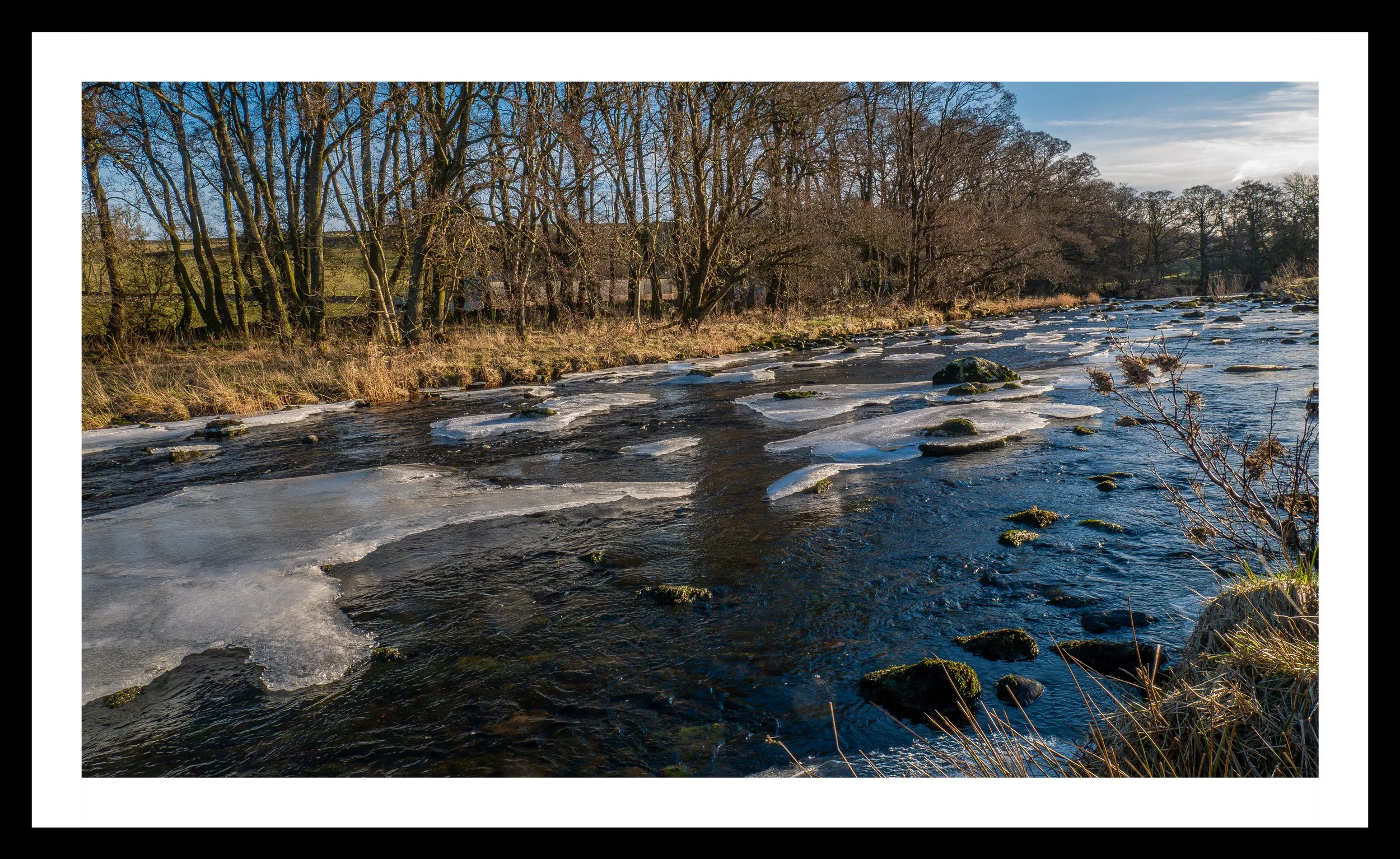 A3 Print | Order Code A3_1310652