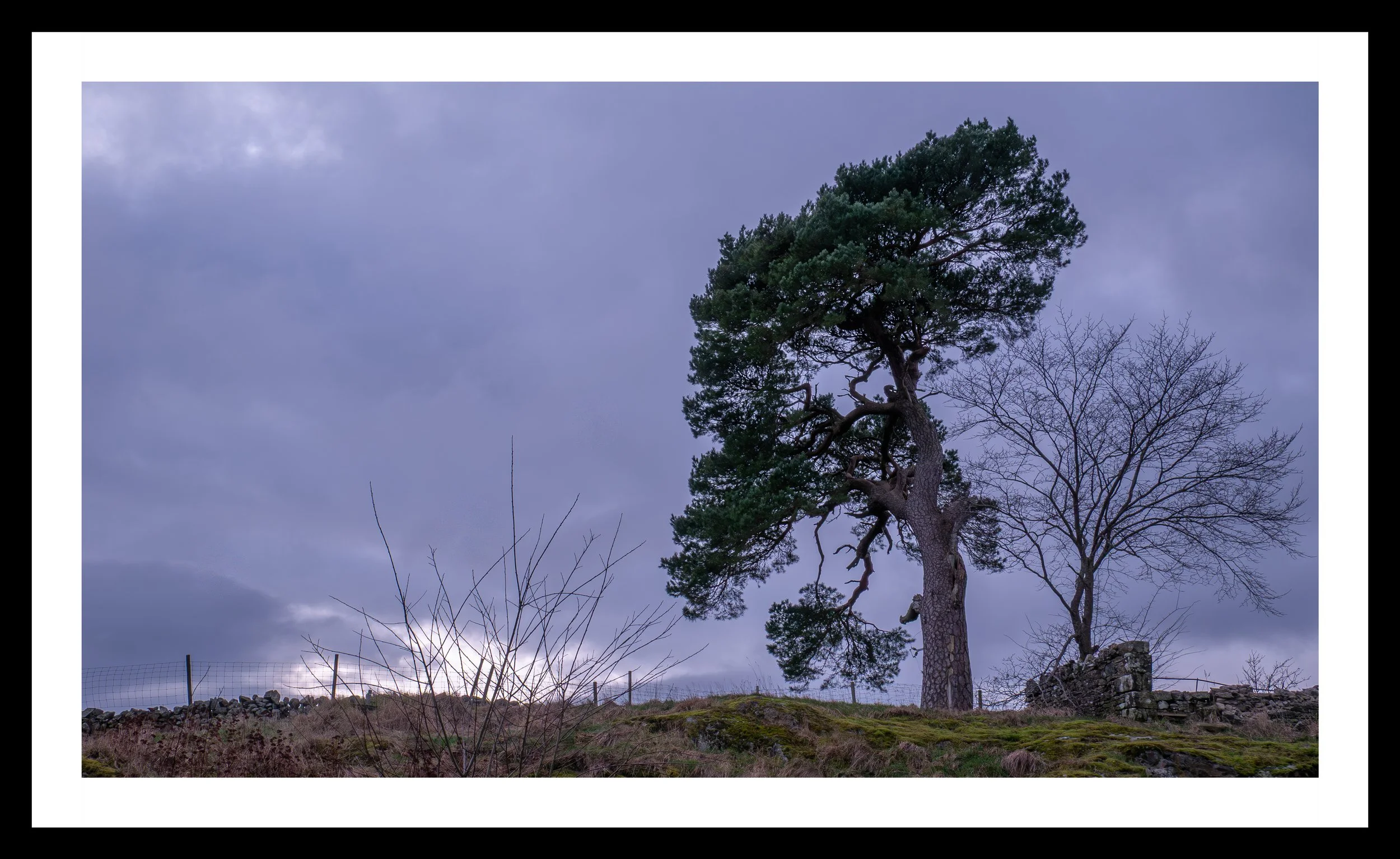 A3 Print | Order Code A3_1310694