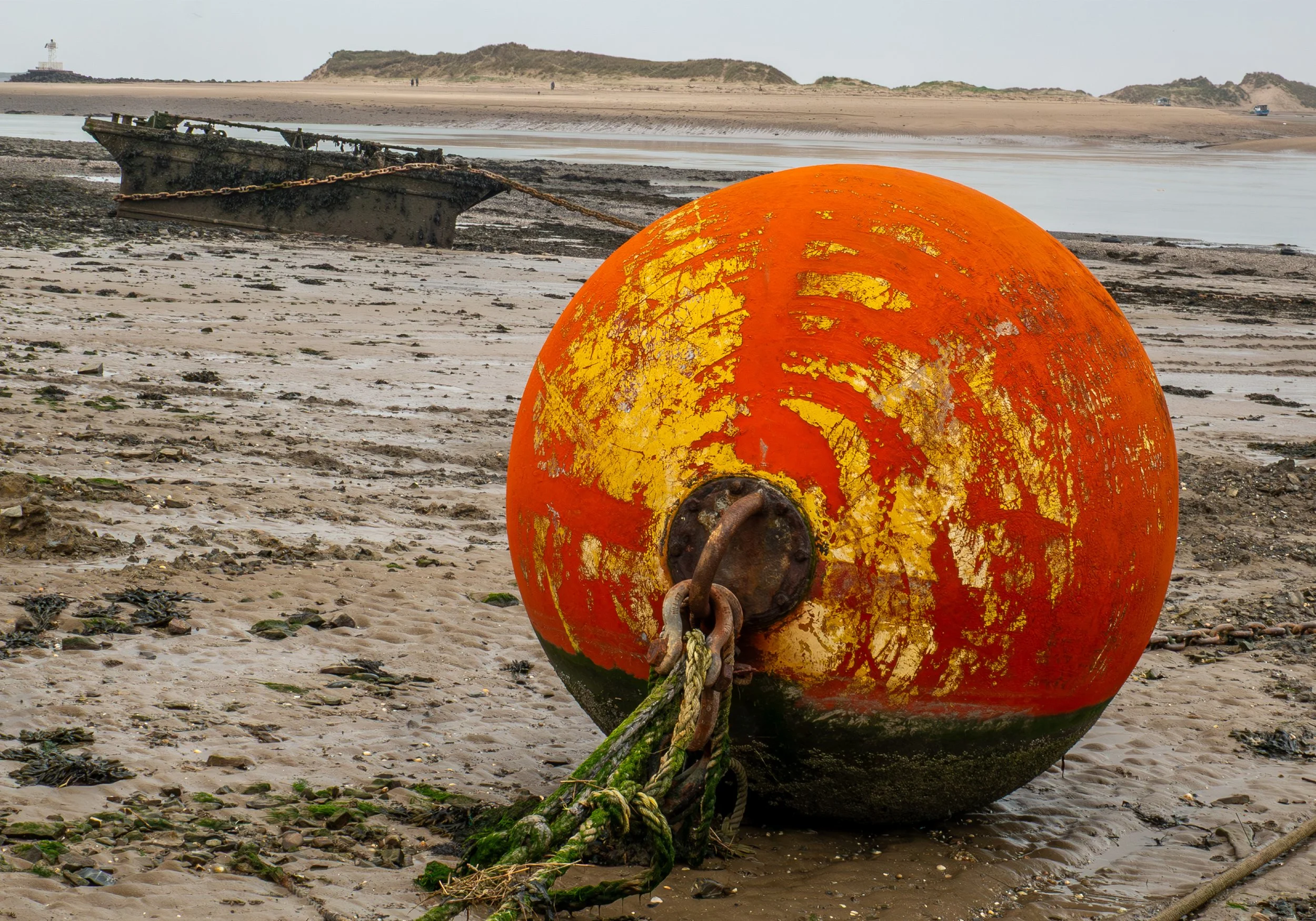 A3 Print | Order Code A3_1320252