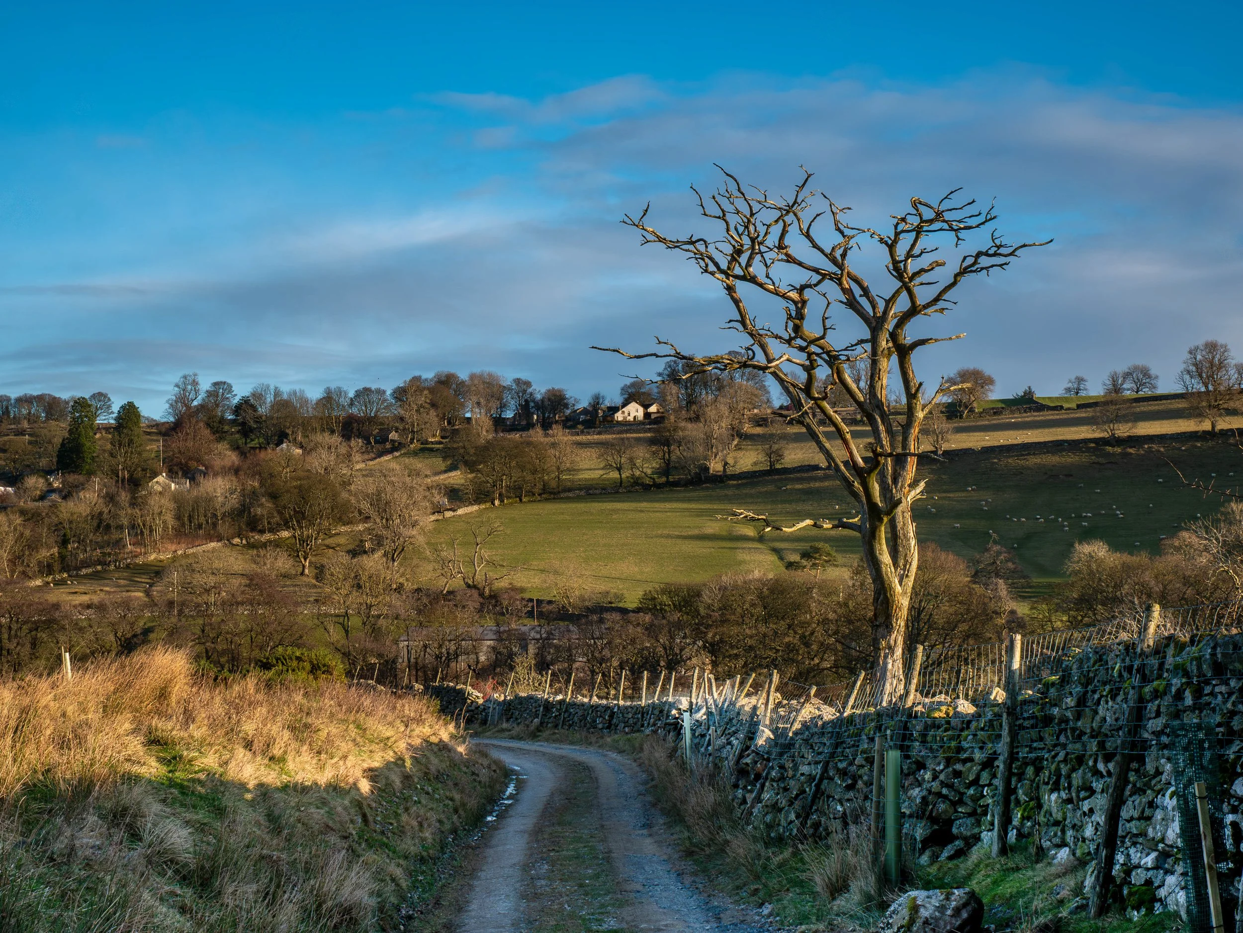 A3 Print | Order Code A31310517