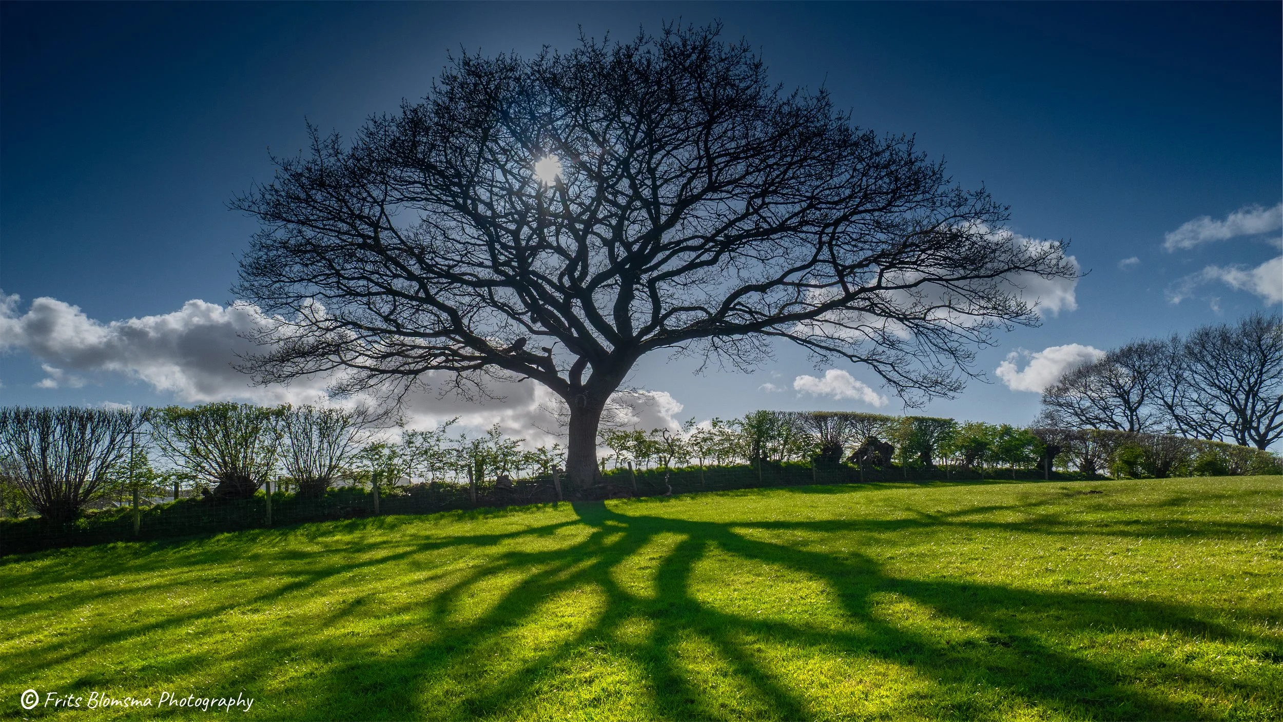 A3 Print | Order Code A3_wales_brecon_1330330_fb