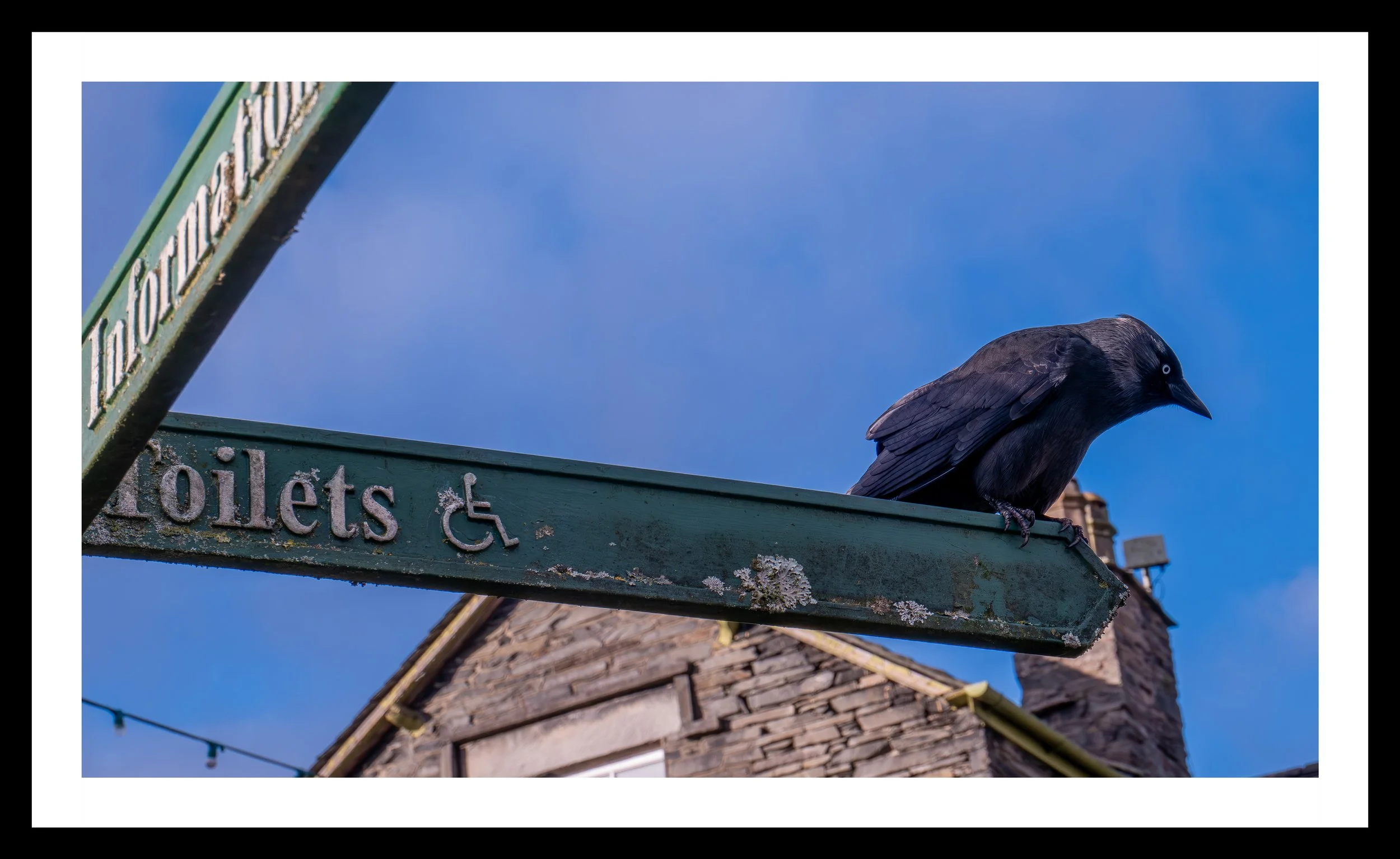 A3 Print | Order Code A3_1310670