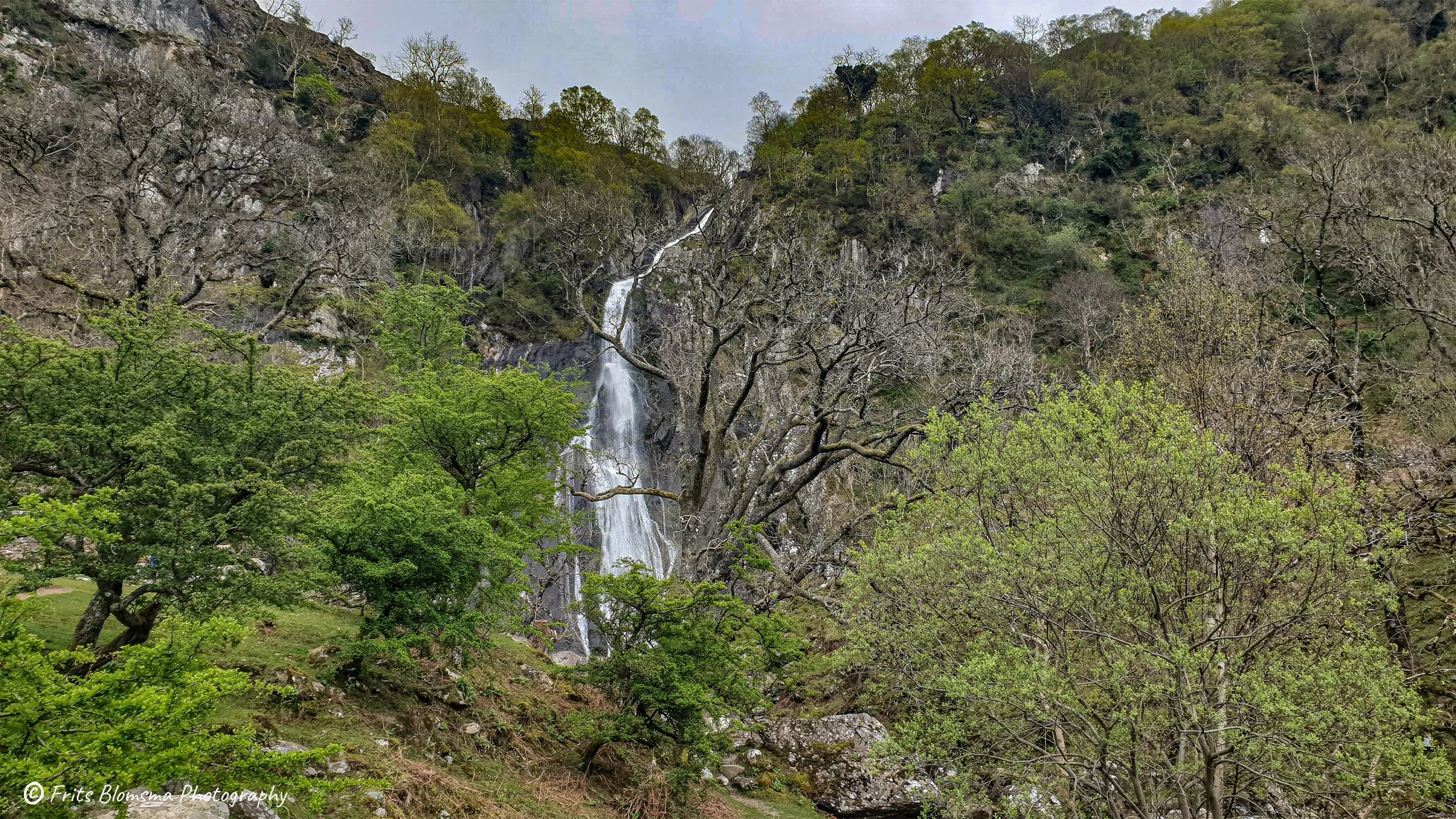 A3 Print | Order Code A3_wales_20240425_145125_fb