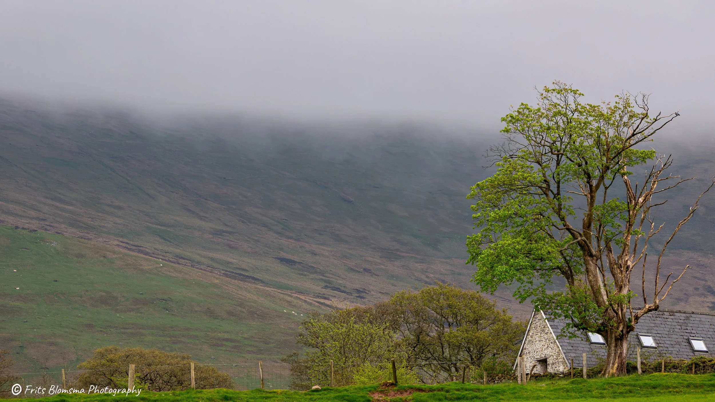 A3 Print | Order Code A3_wales_brecon_1330401_fb