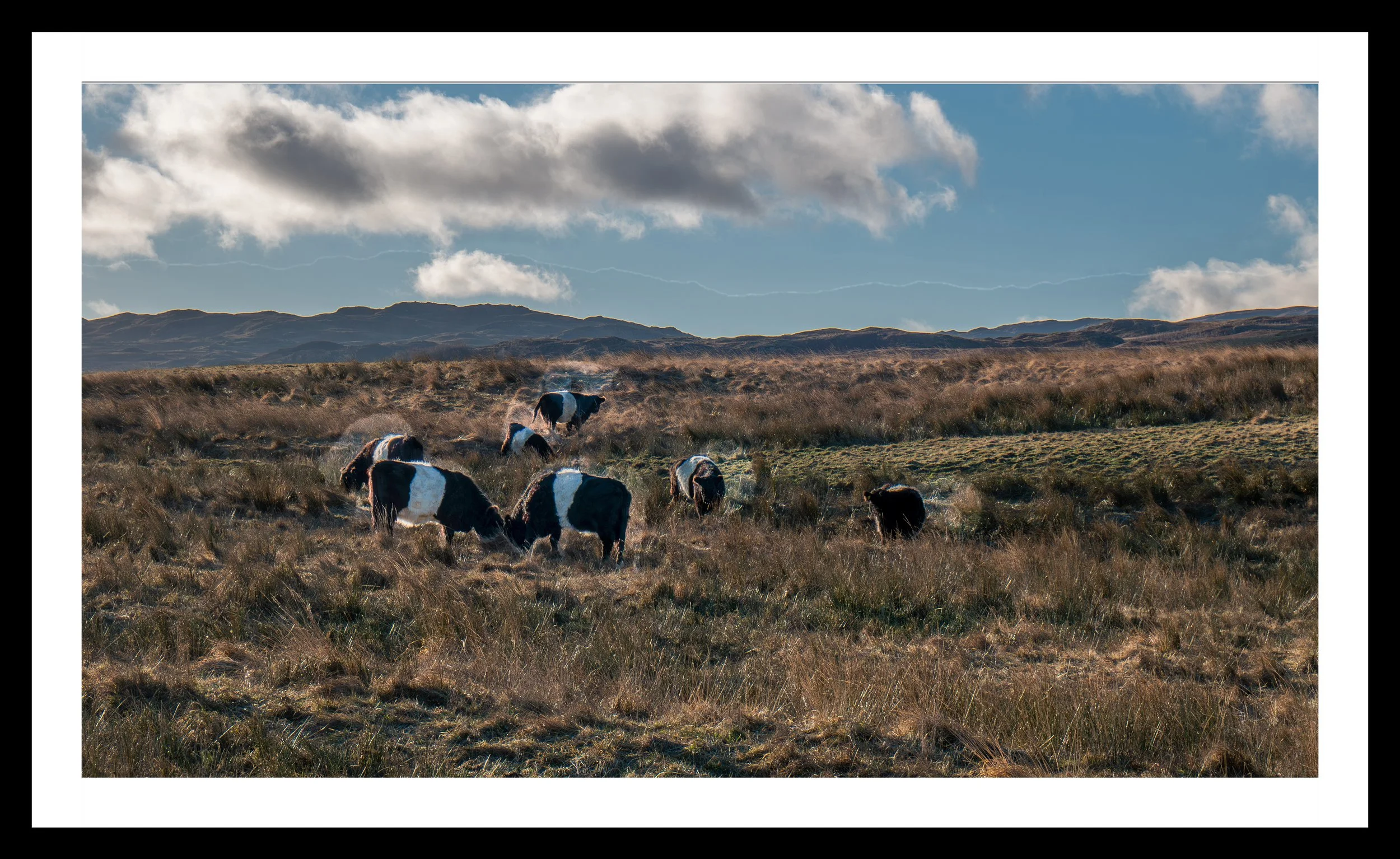 A3 Print | Order Code A3_1310560