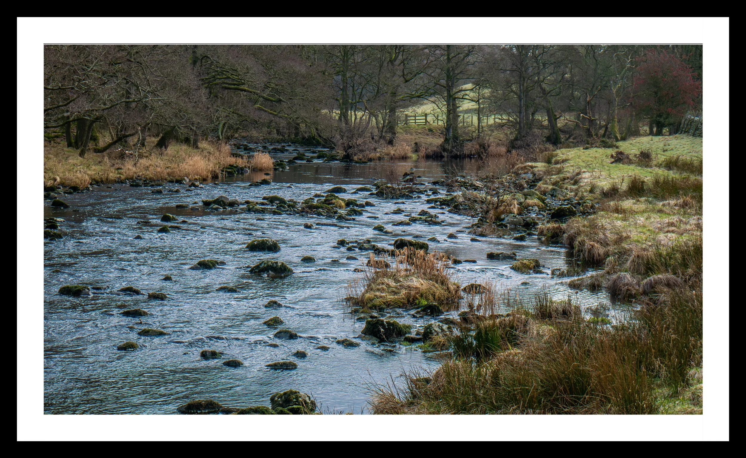 A3 Print | Order Code A31310417