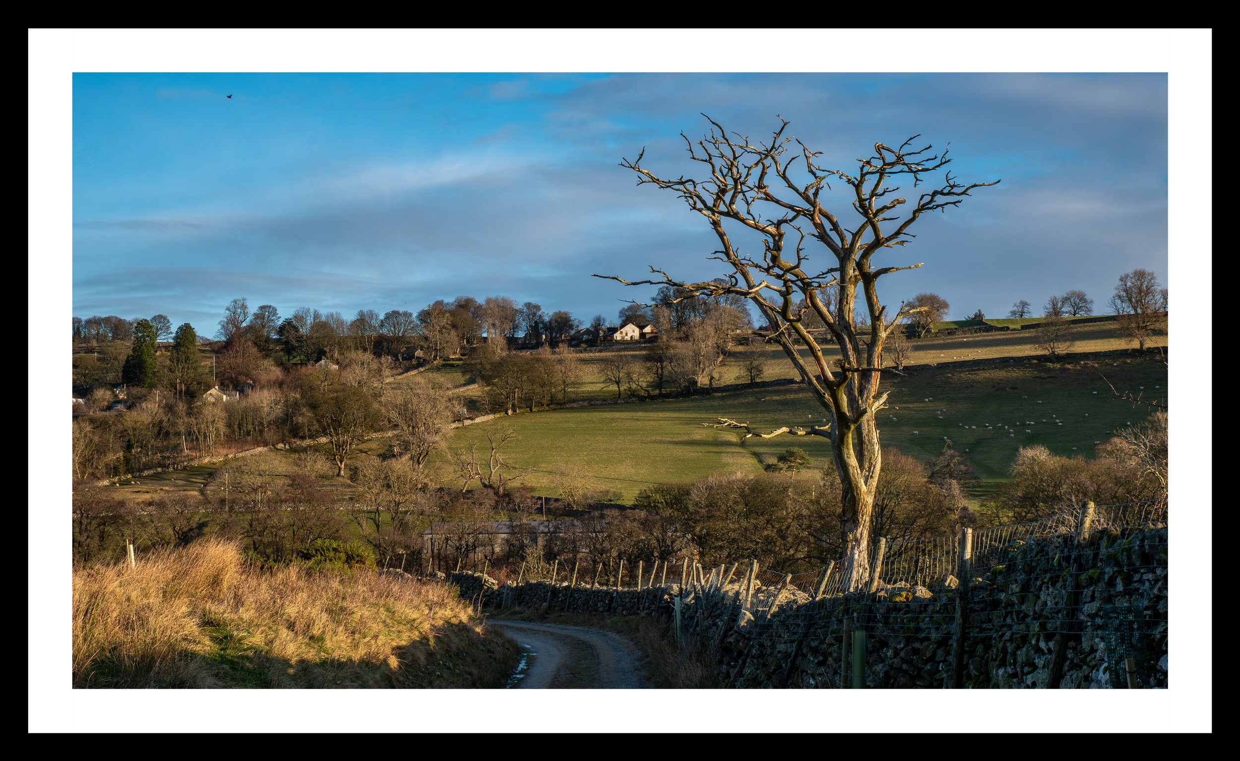 A3 Print | Order Code A31310517