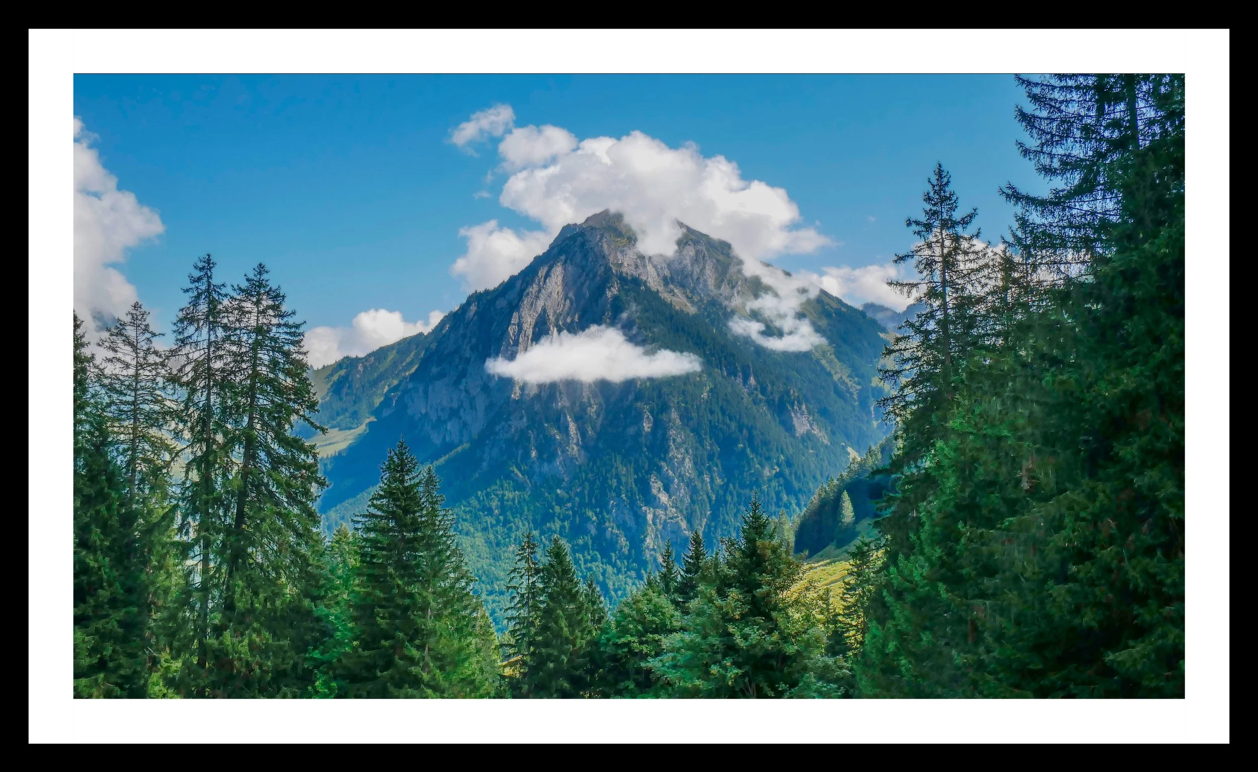 A3 print | Order Code A3_1260713