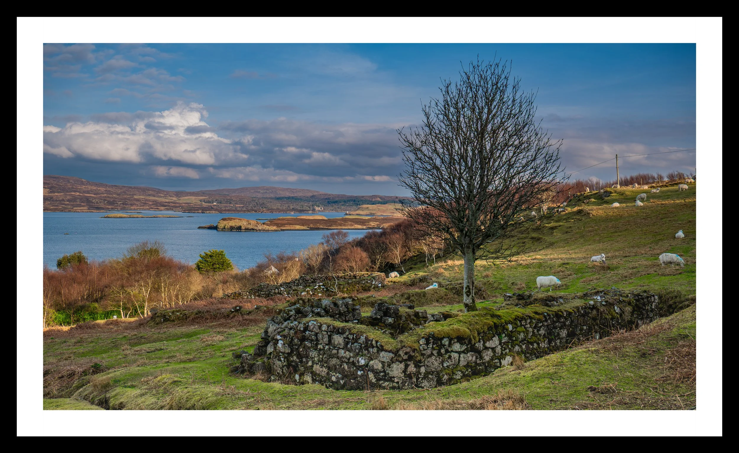 A3 Print | Order Code A31210901