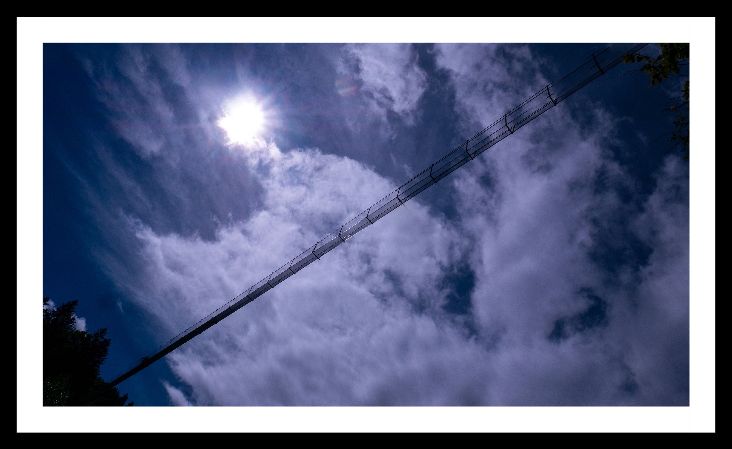 A3 Print | Order Code  A3_1270136