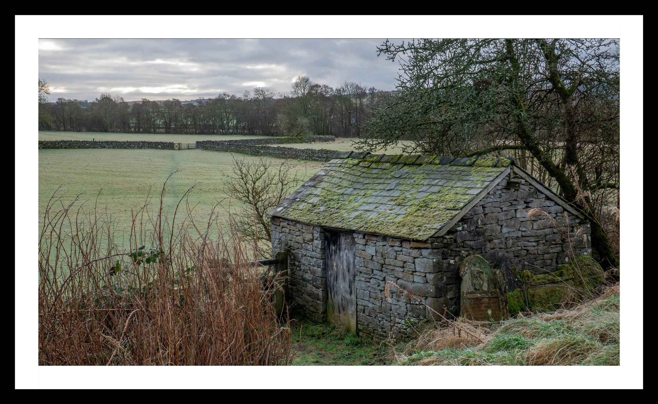 A3 Print | Order Code A31310413