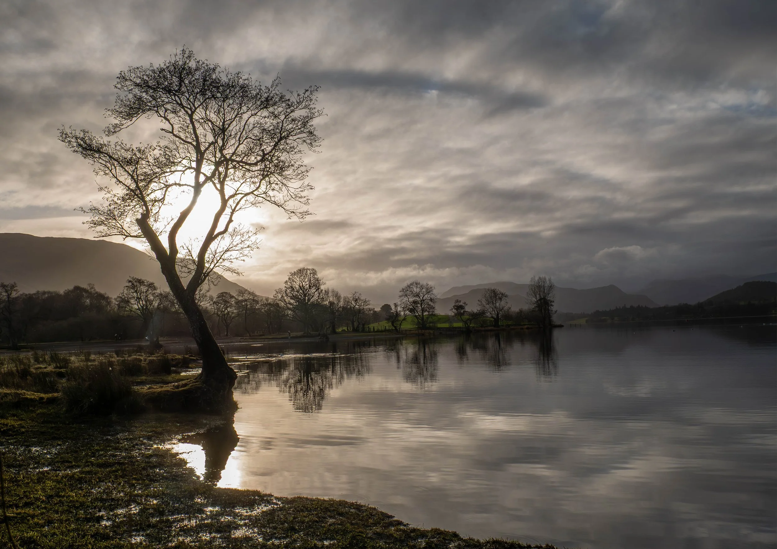 A3 Print | Order Code A31310445