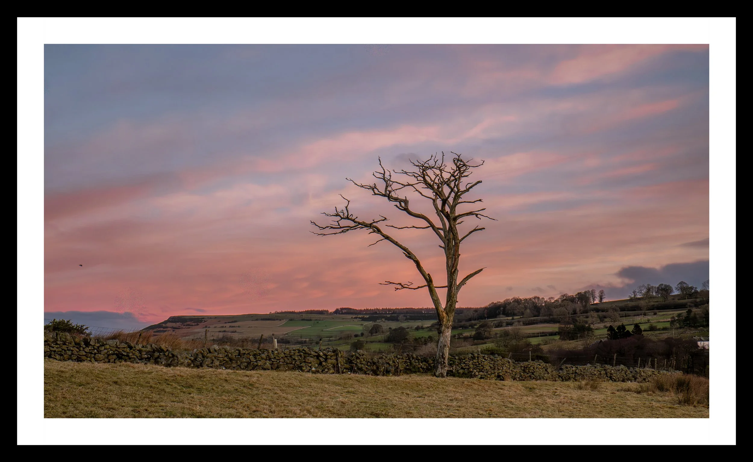 A3 Print | Order Code A3_1310631