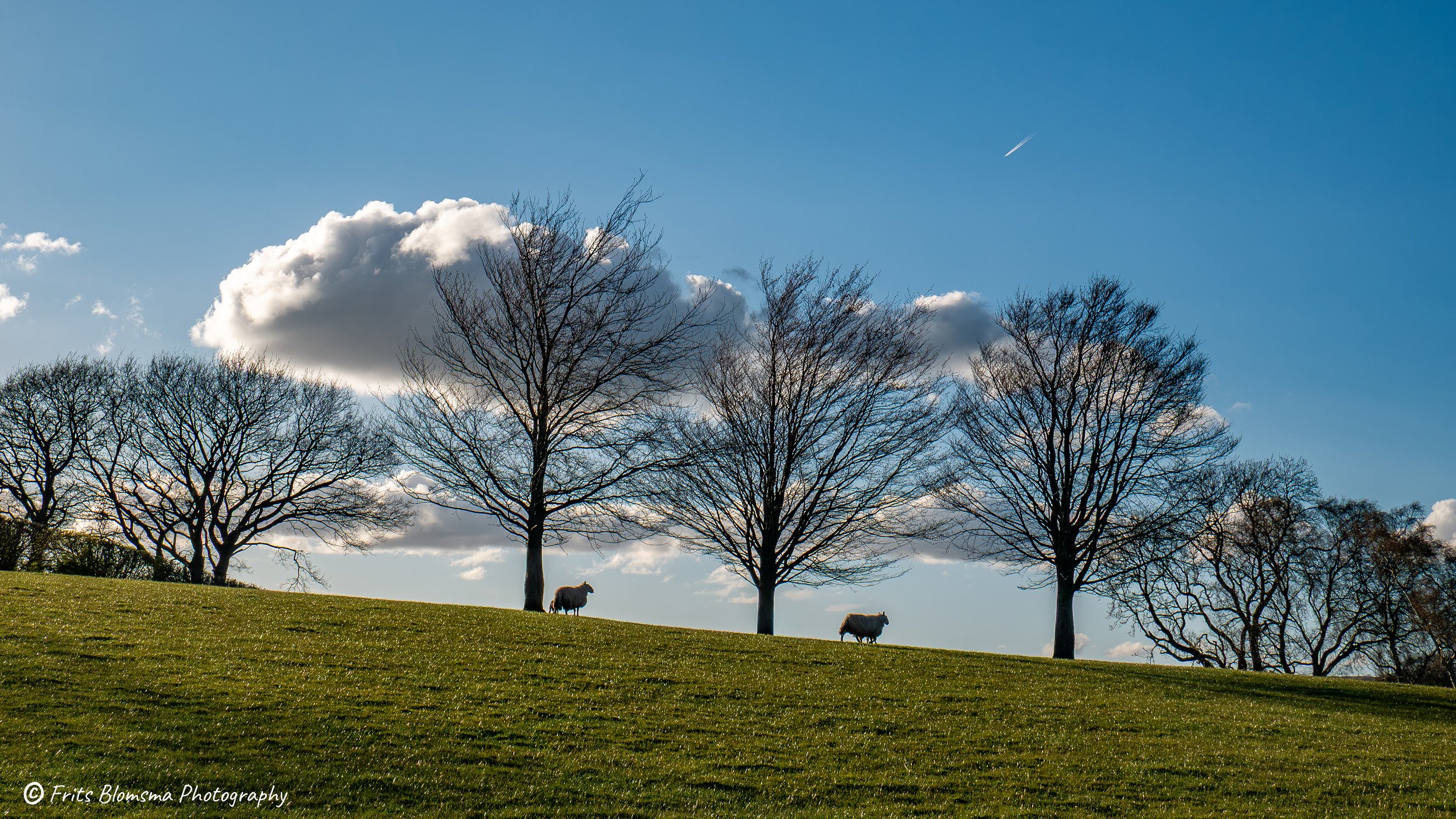 A3 Print | Order Code A3_wales_brecon_1330227_fb