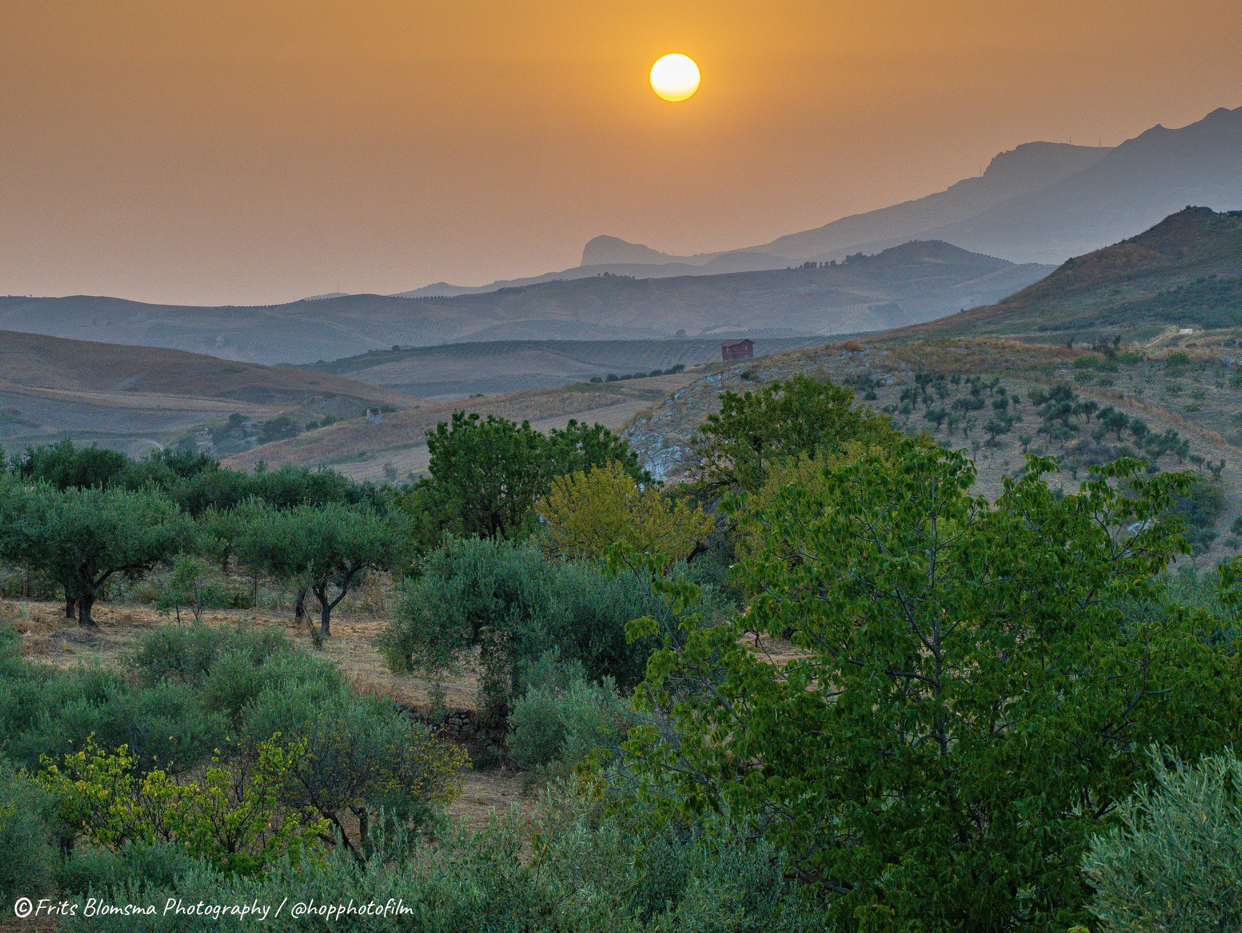 cianciana_A8242401_hop_web.jpg