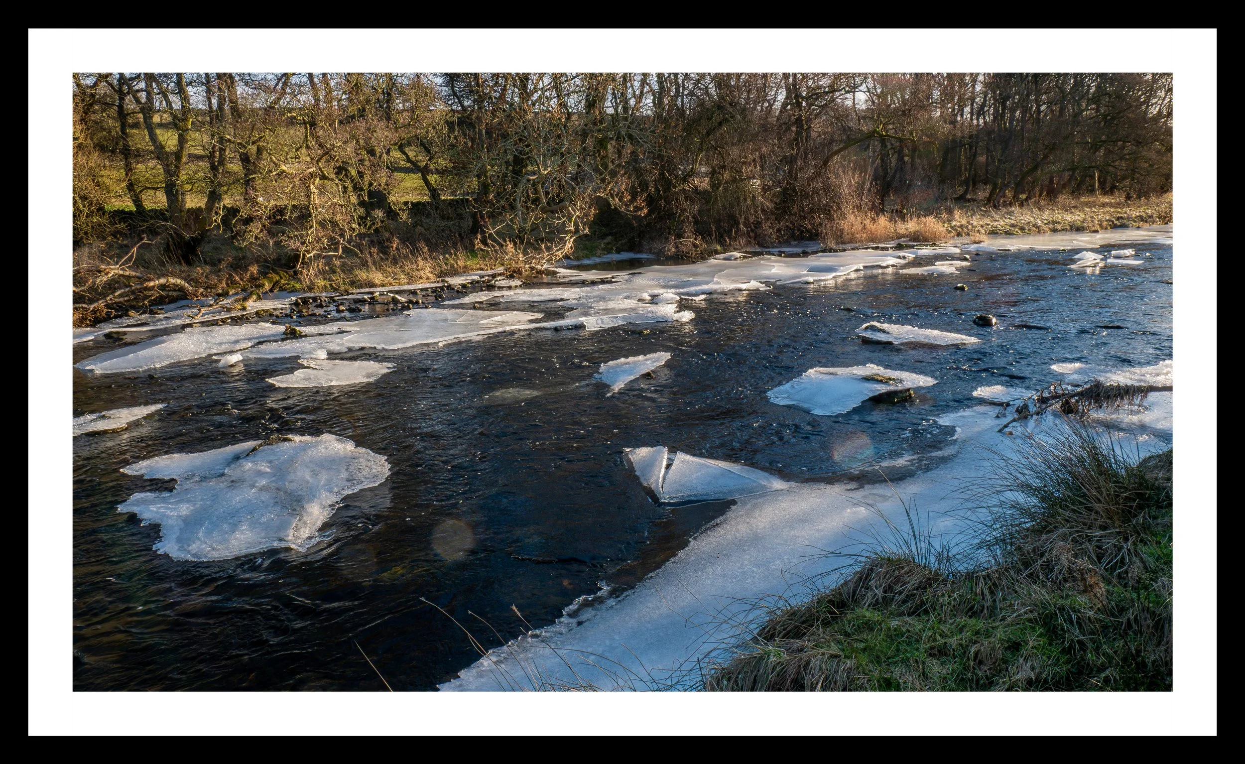 A3 Print | Order Code A3_1310646