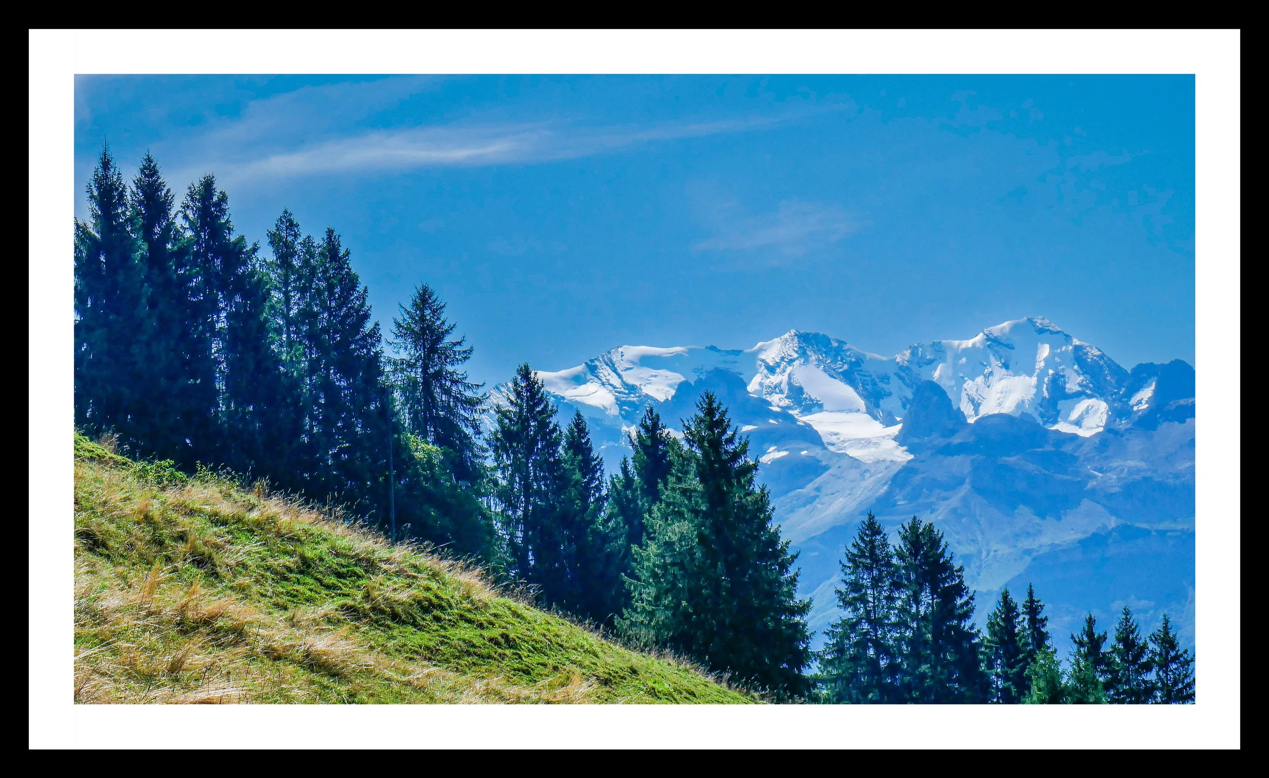 A3 Print | Order Code A3_1260767