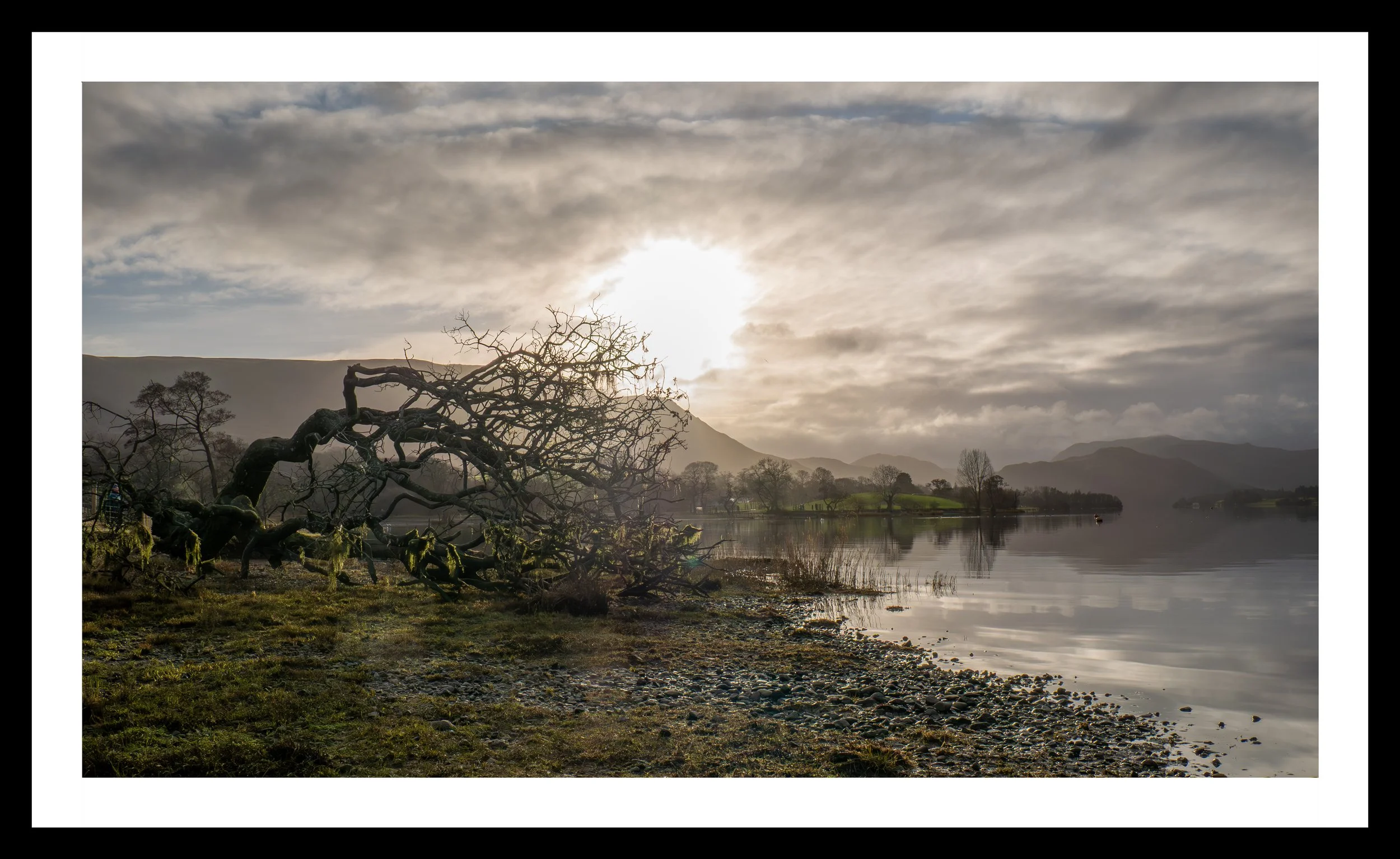 A3 Print | Order Code A31310443