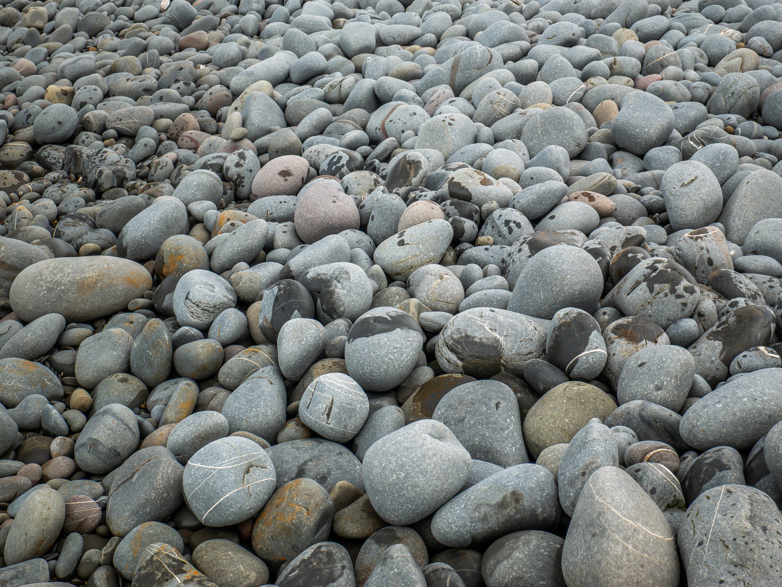 A3 Print | Order Code A3_1320237