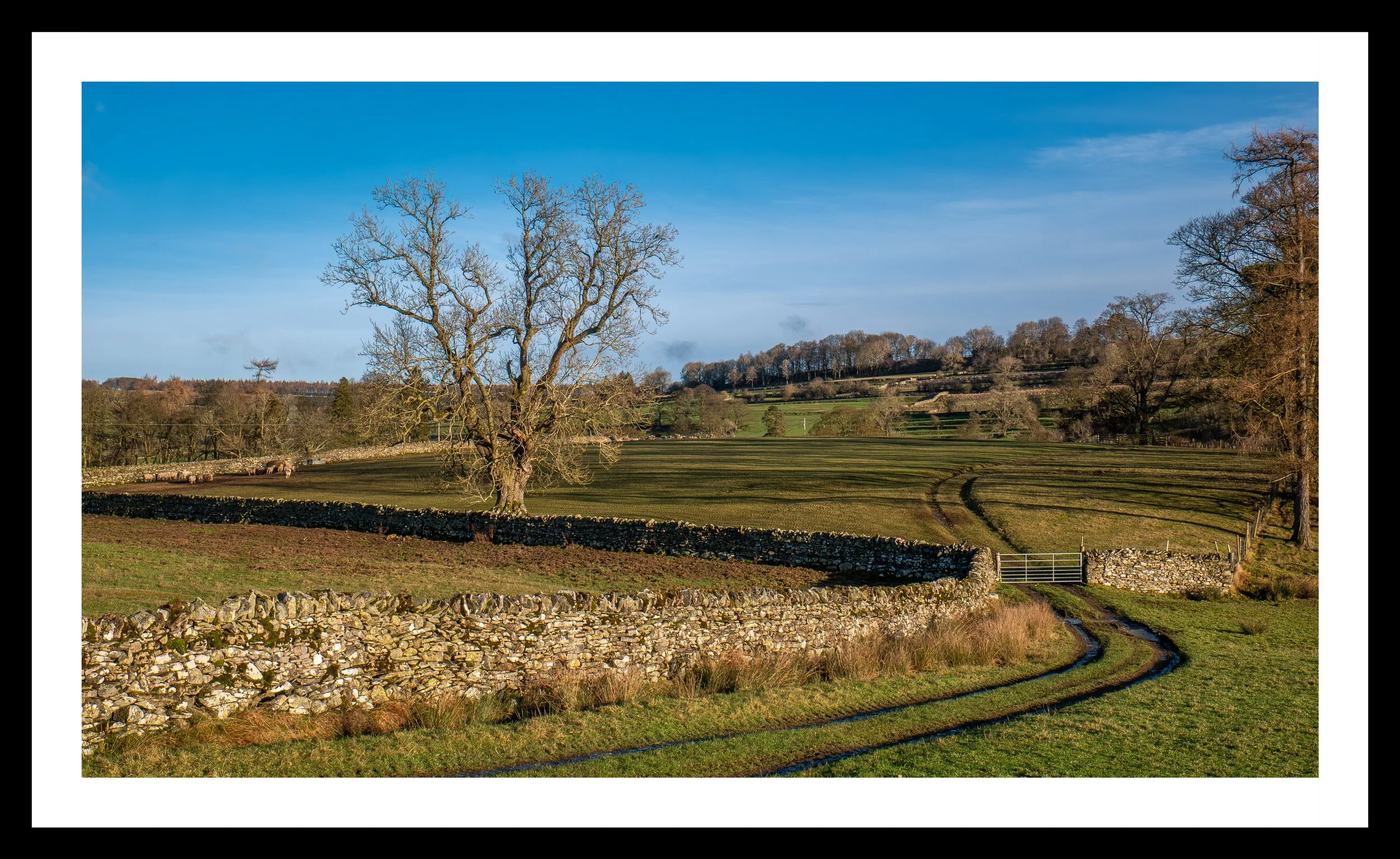 A3 Print | Order Code A3_1310644