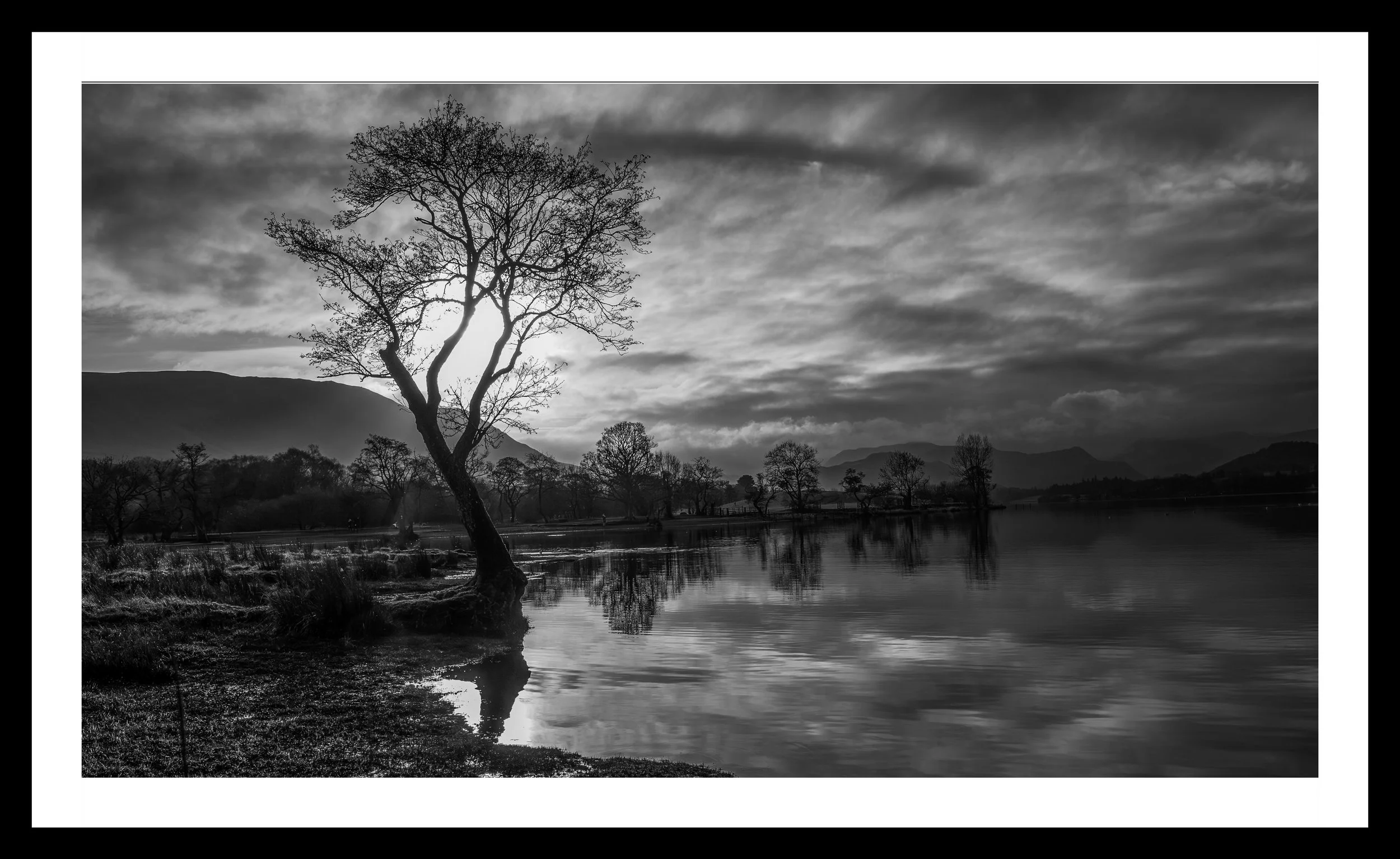 A3 Print | Order Code A31310445 B&W