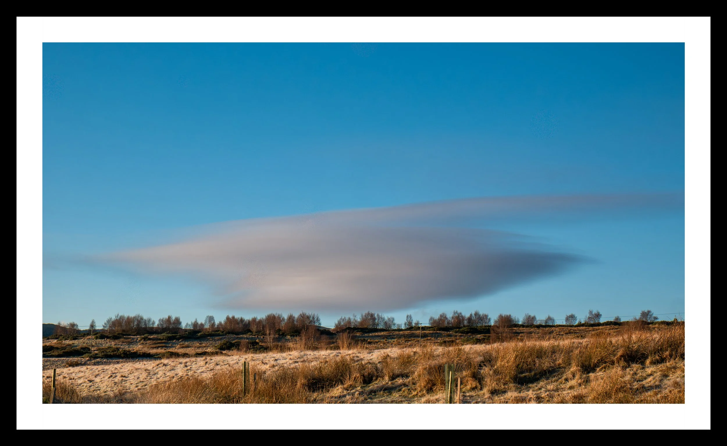 A3 Print | Order Code A3_1310583